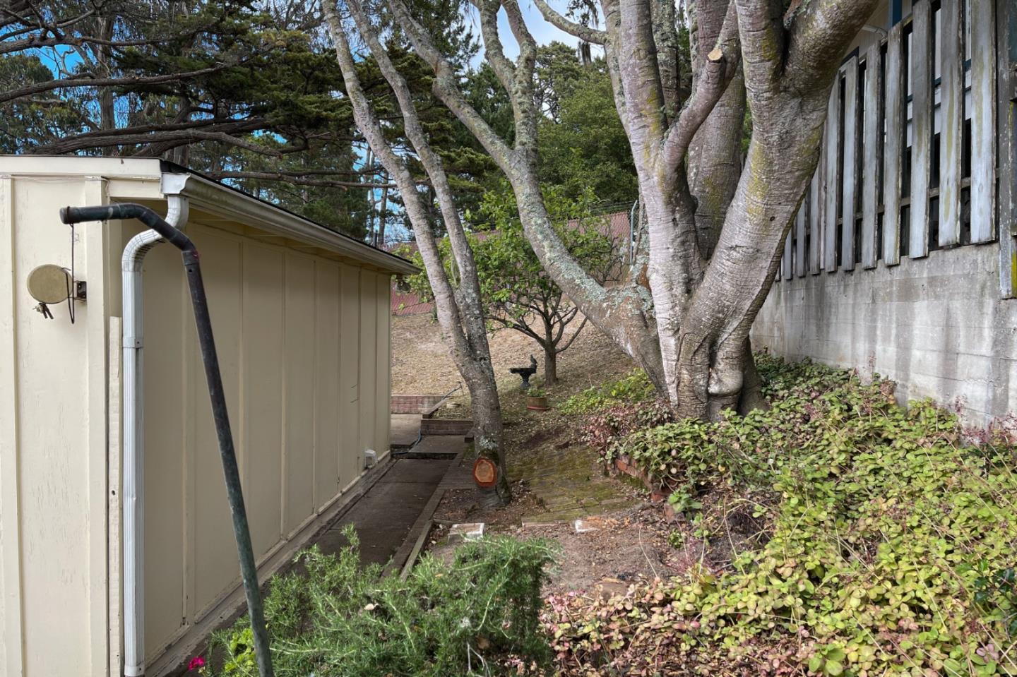 305 Stuart Avenue Pacific Grove, CA 93950 - Photo 20 of 24 a view of a backyard