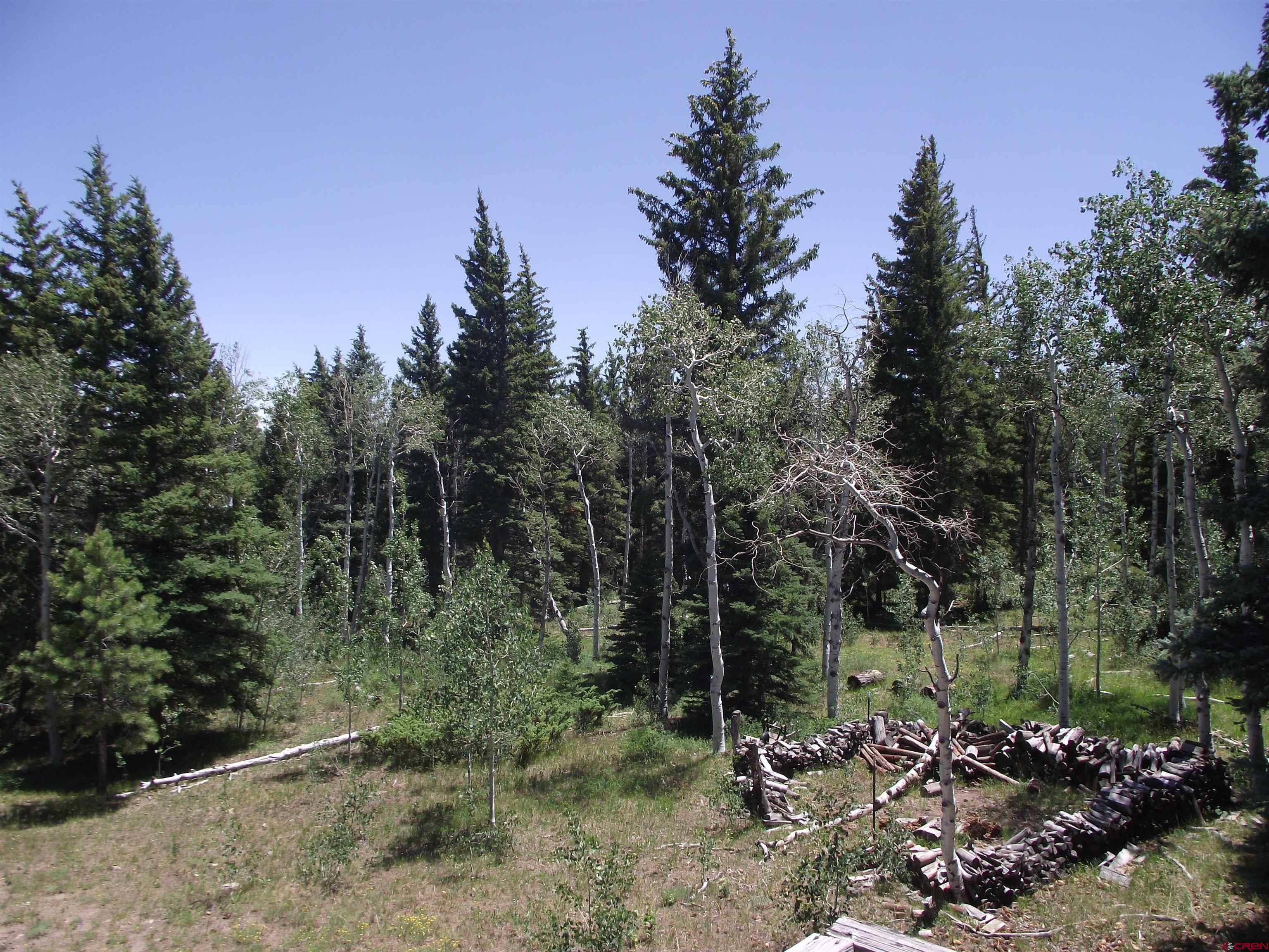 15283 Spring Creek Road Montrose, CO 81403 - Photo 26 of 40