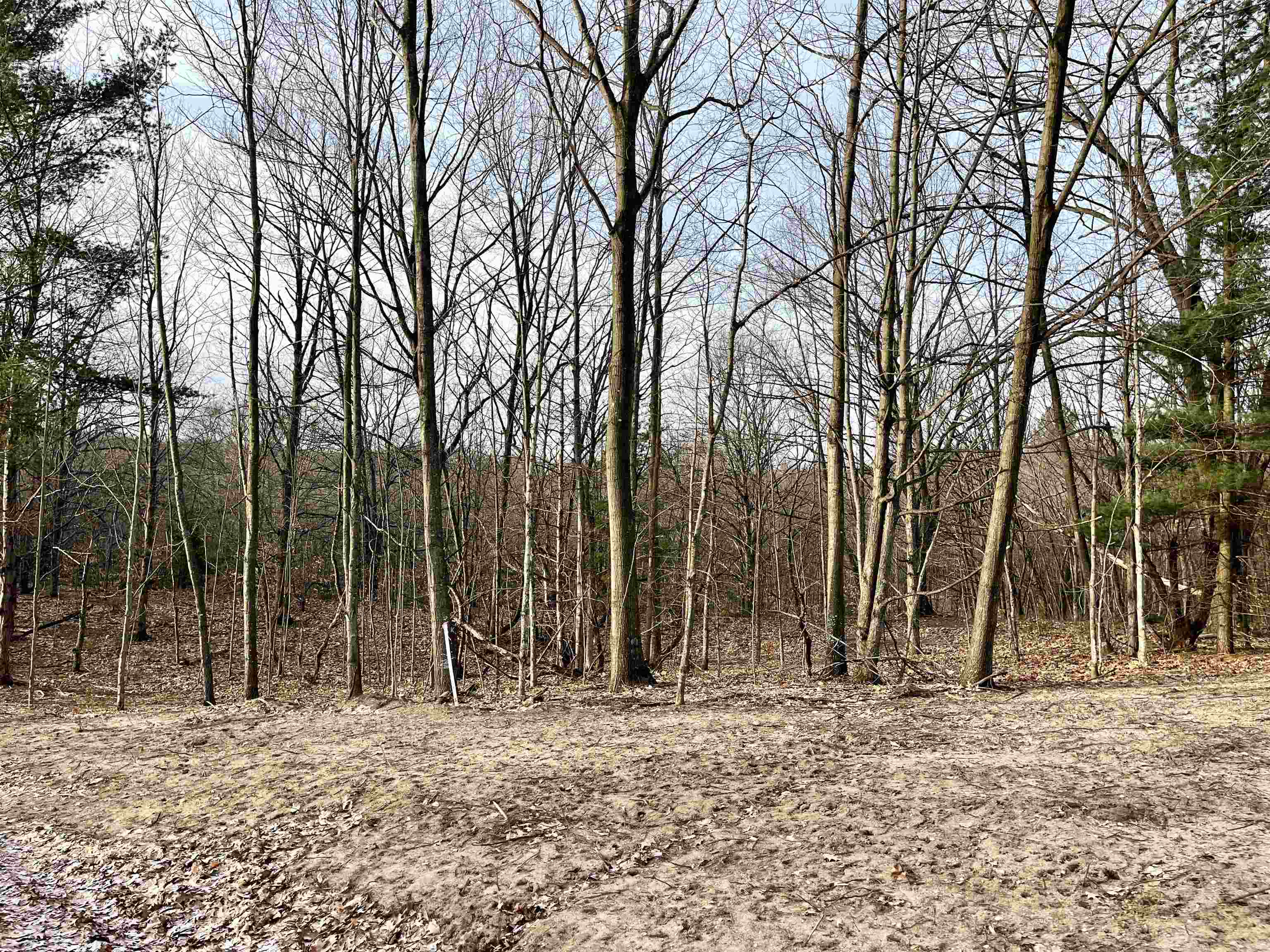 Parcel E West Trumbull Road Maple City, MI 49664 - Photo 15 of 16