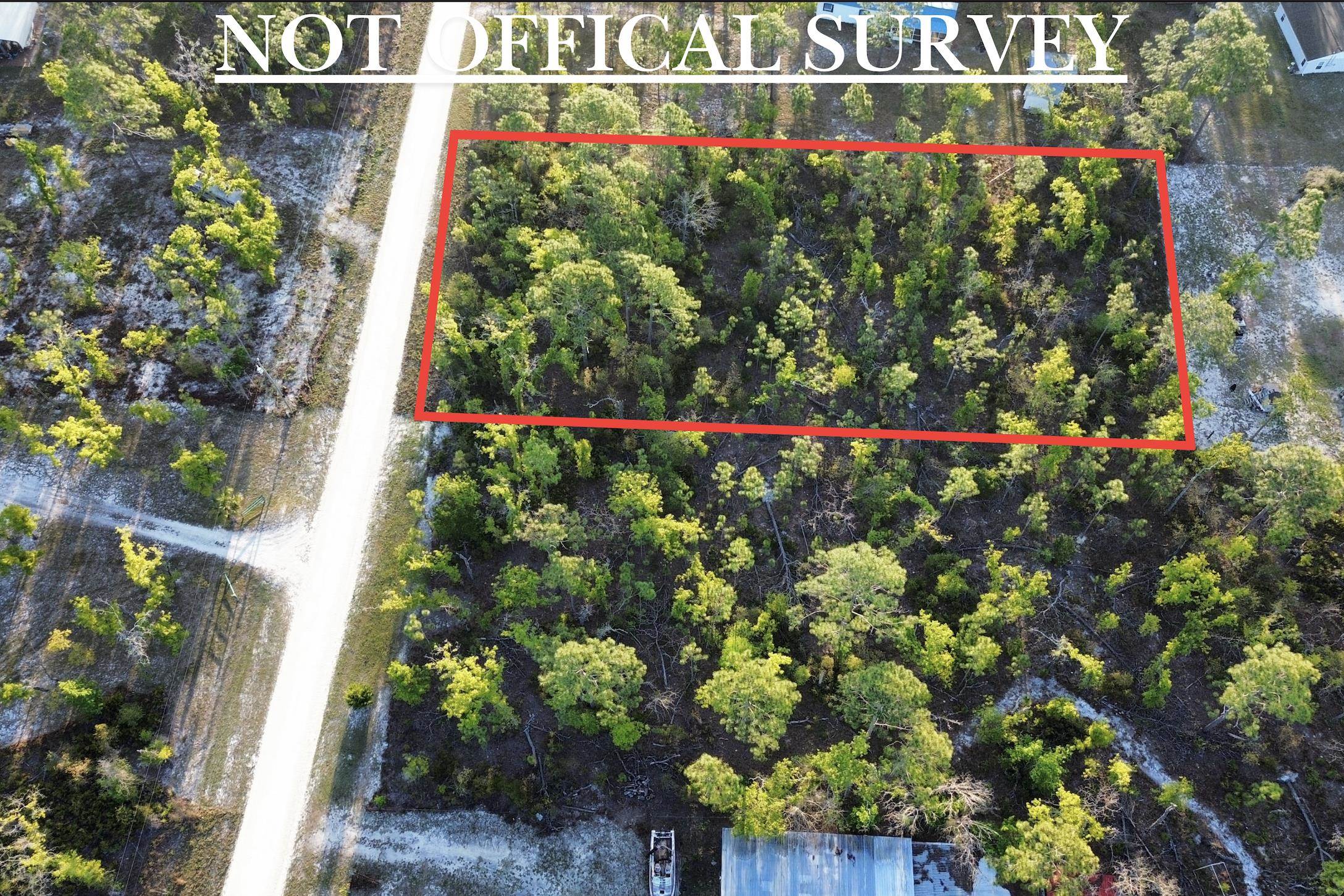Lot 204 Post Oak Road Perry, FL 32348 - Photo 4 of 30 Gallery Image 4