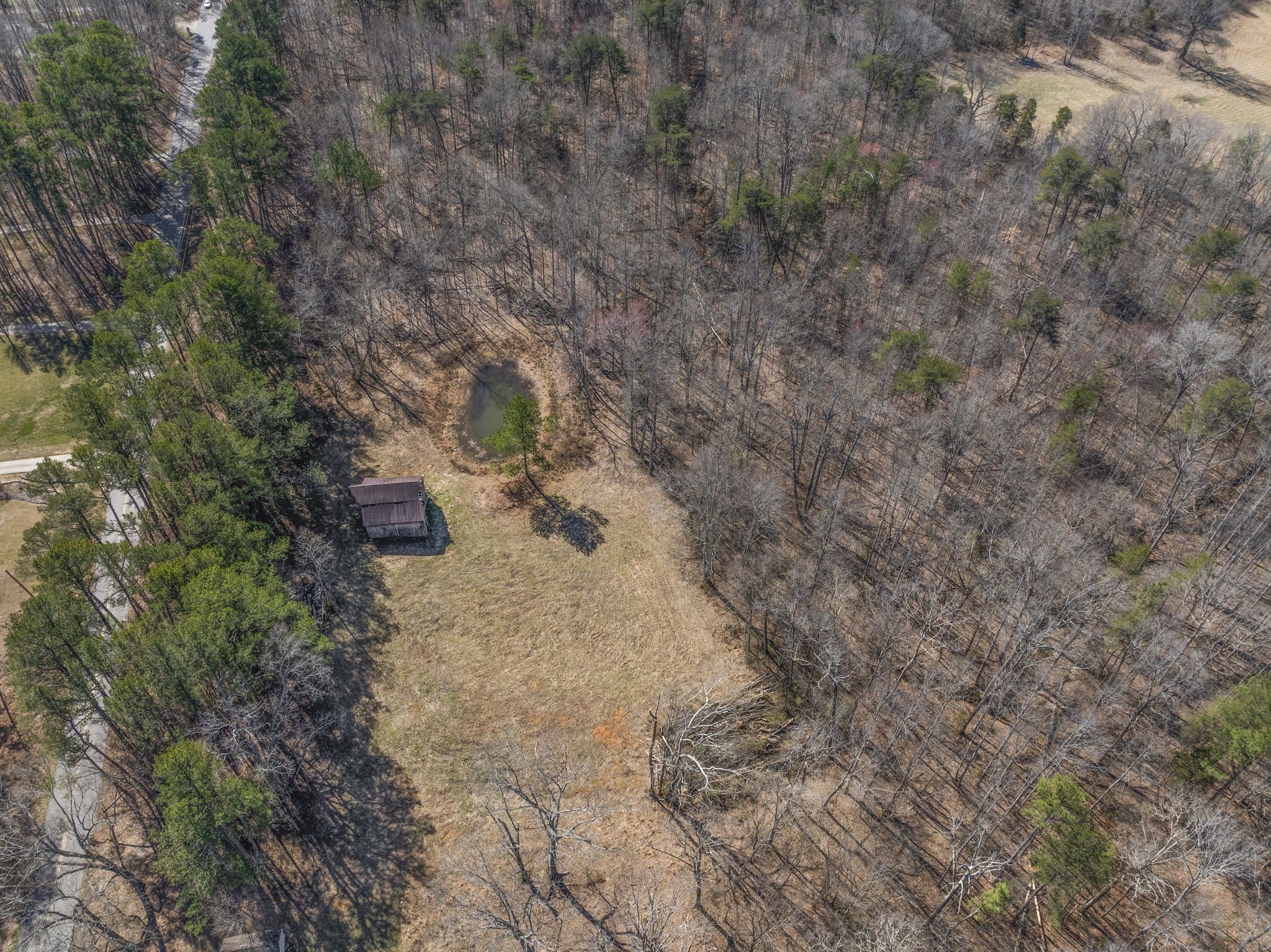 0 Spencer Mill Road Burns, TN 37029 - Photo 11 of 26 a view of a dry yard with green space