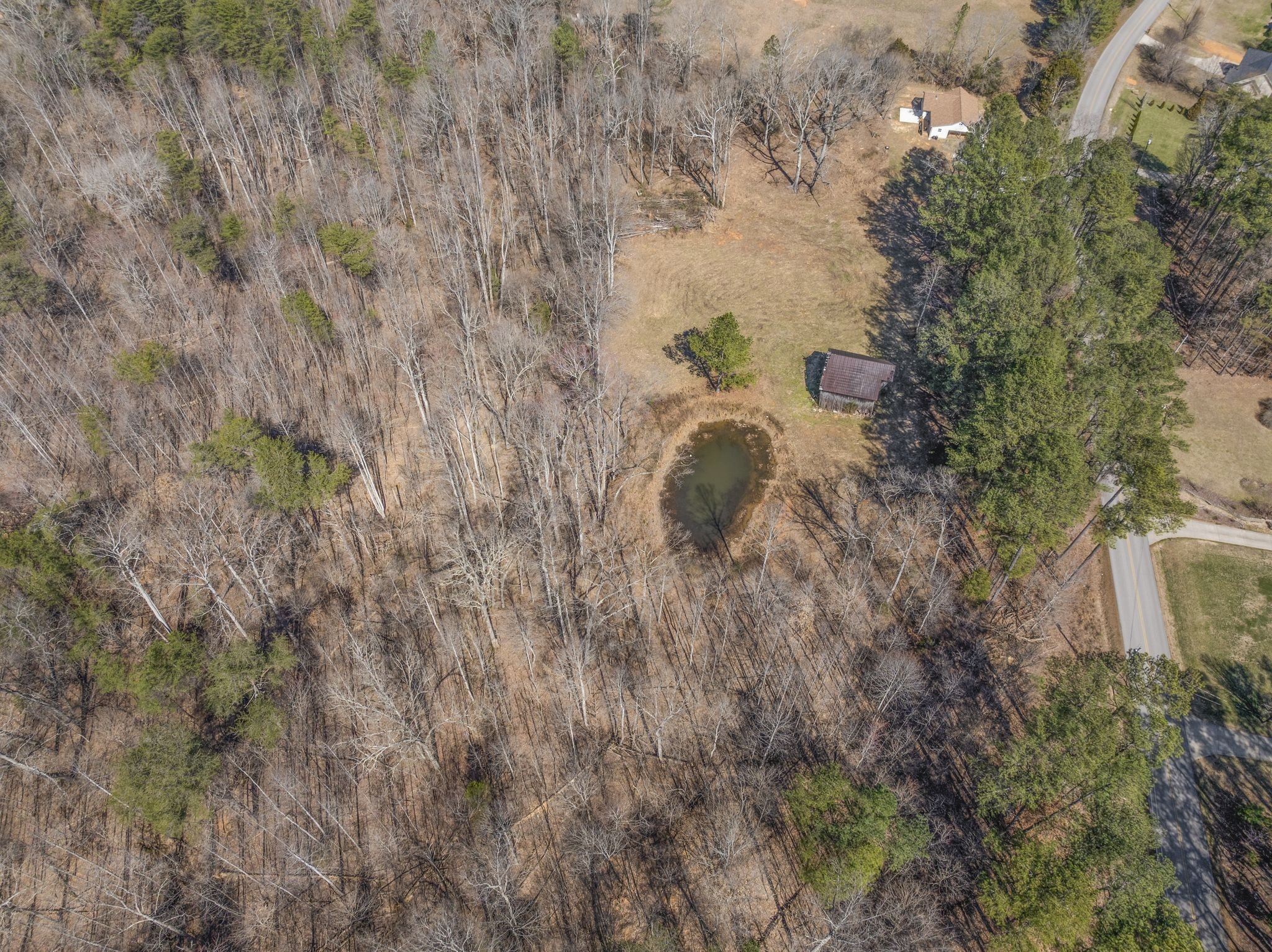 0 Spencer Mill Road Burns, TN 37029 - Photo 12 of 26 a view of a dry yard