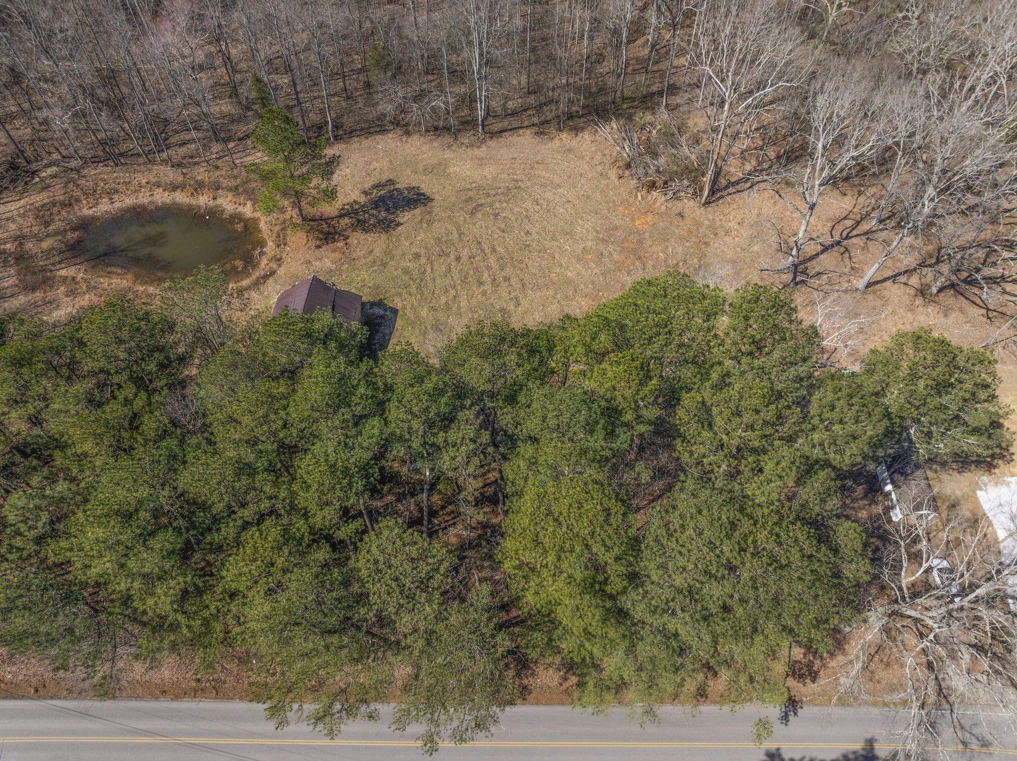 0 Spencer Mill Road Burns, TN 37029 - Photo 14 of 26 a view of a yard with a tree
