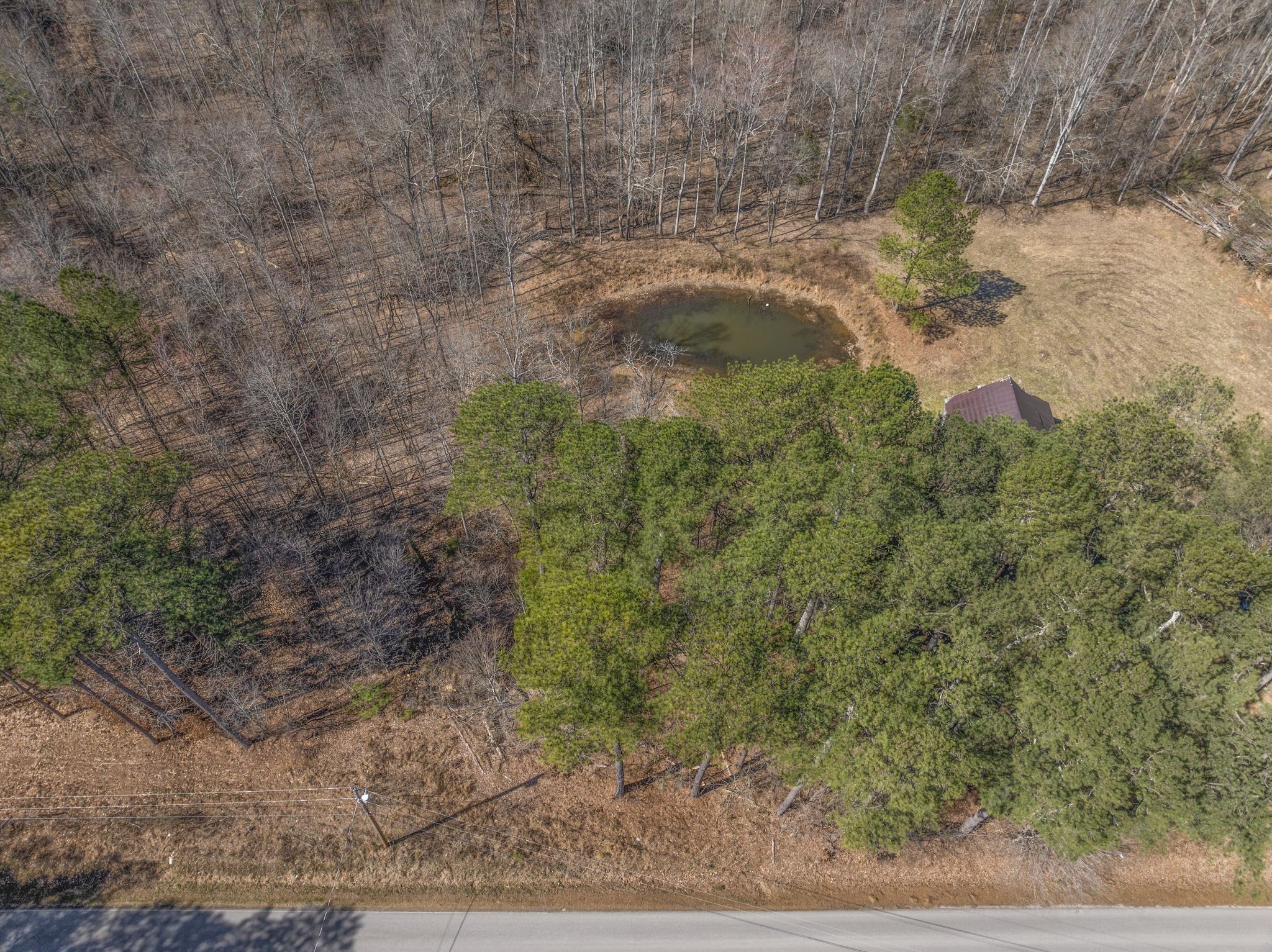 0 Spencer Mill Road Burns, TN 37029 - Photo 15 of 26