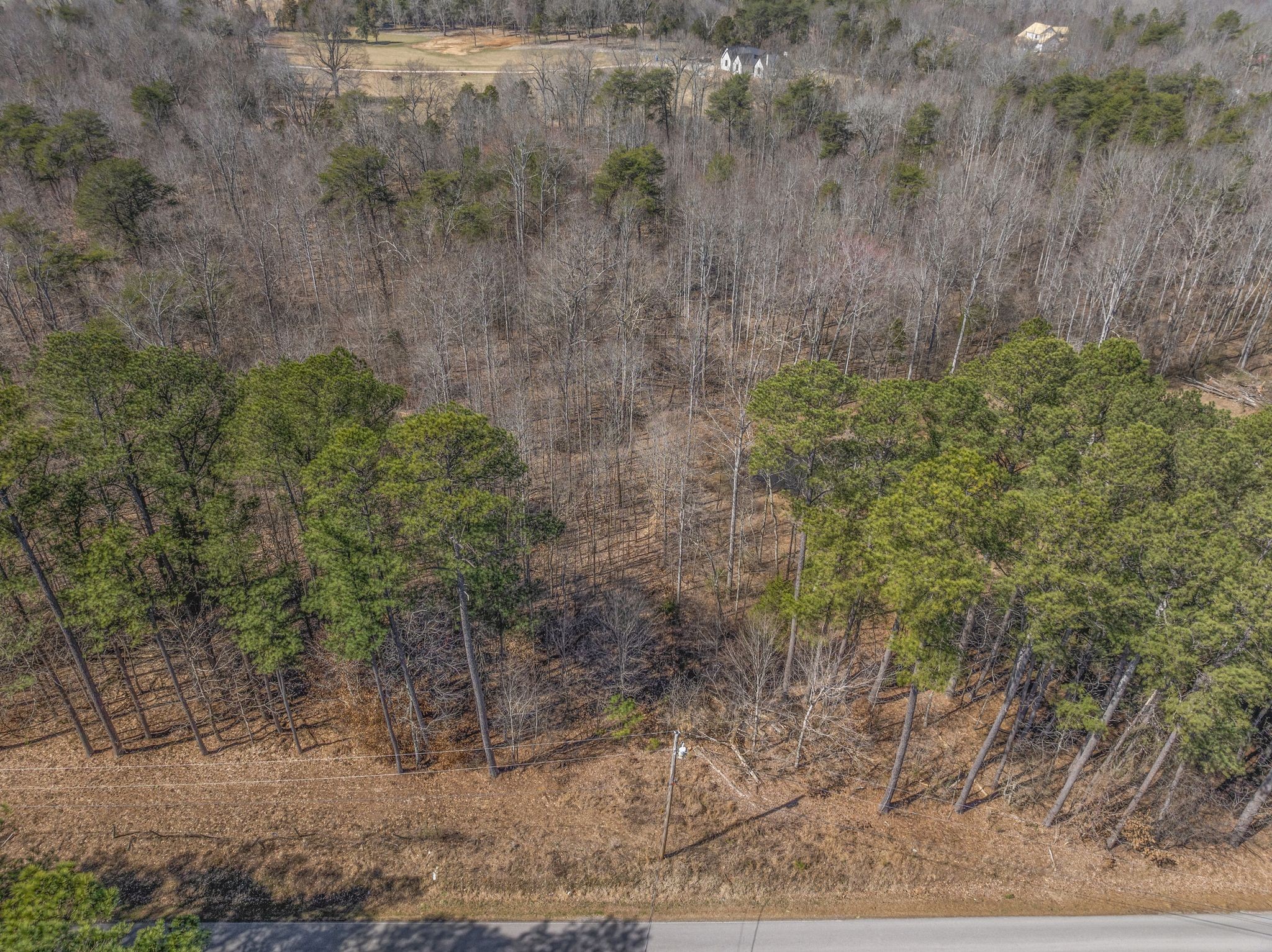 0 Spencer Mill Road Burns, TN 37029 - Photo 16 of 26