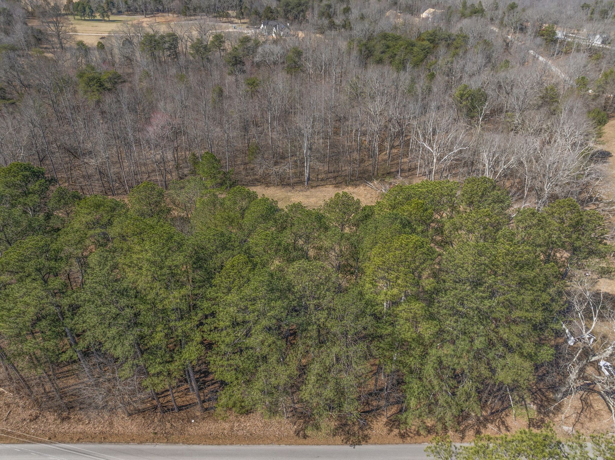 0 Spencer Mill Road Burns, TN 37029 - Photo 17 of 26 a view of a dry yard