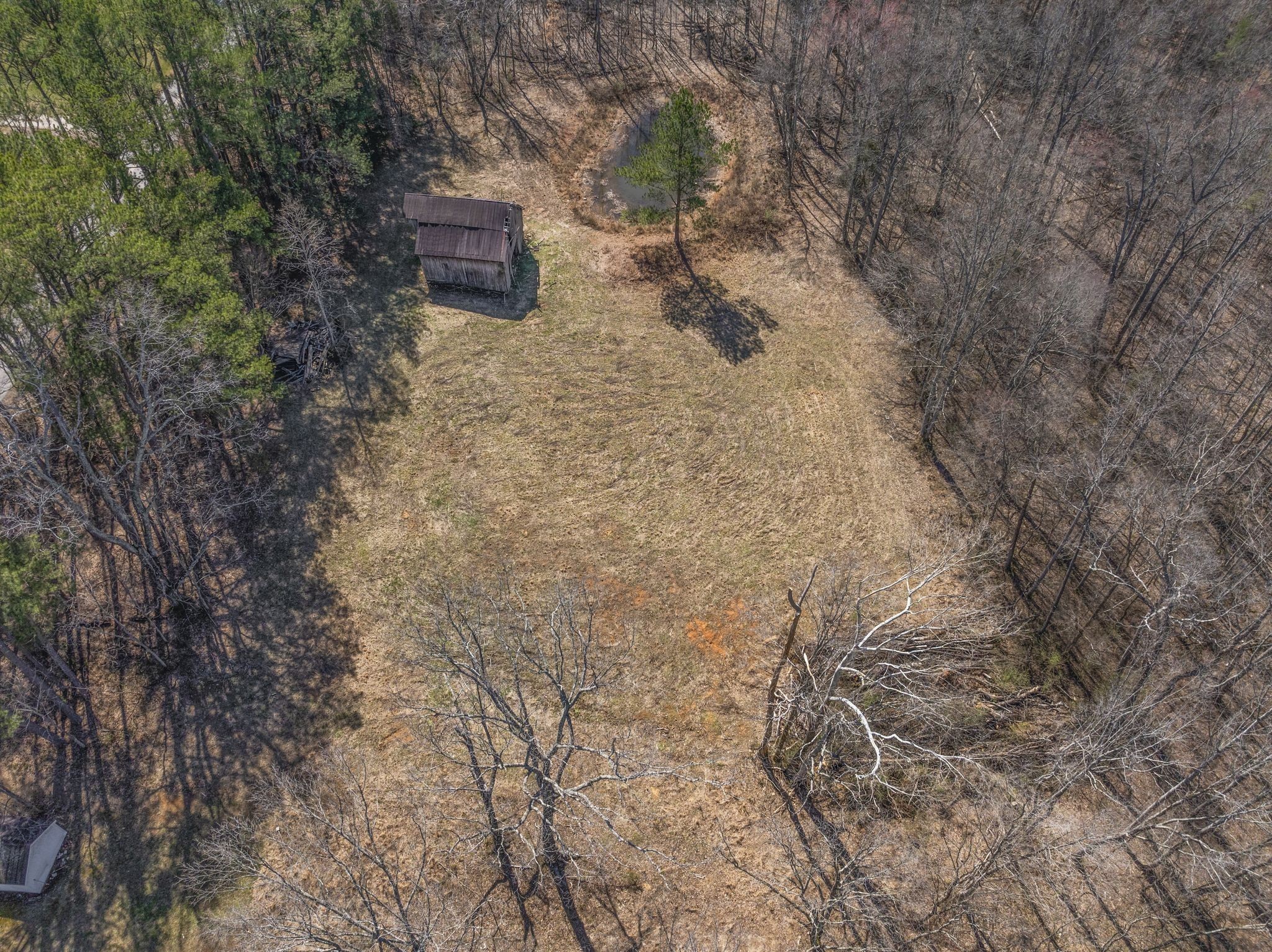 0 Spencer Mill Road Burns, TN 37029 - Photo 18 of 26