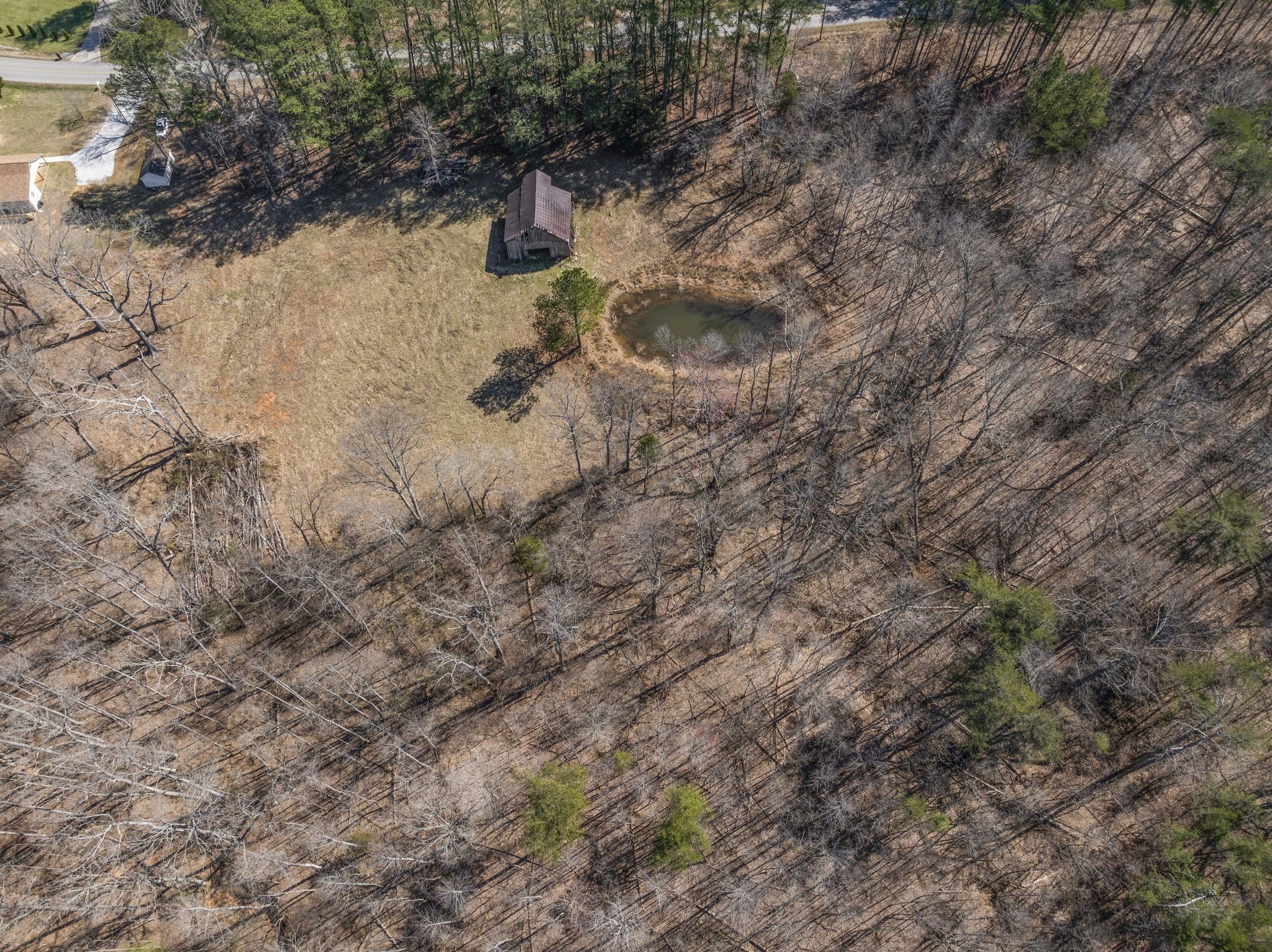 0 Spencer Mill Road Burns, TN 37029 - Photo 19 of 26 a view of a dry yard with lots of green space