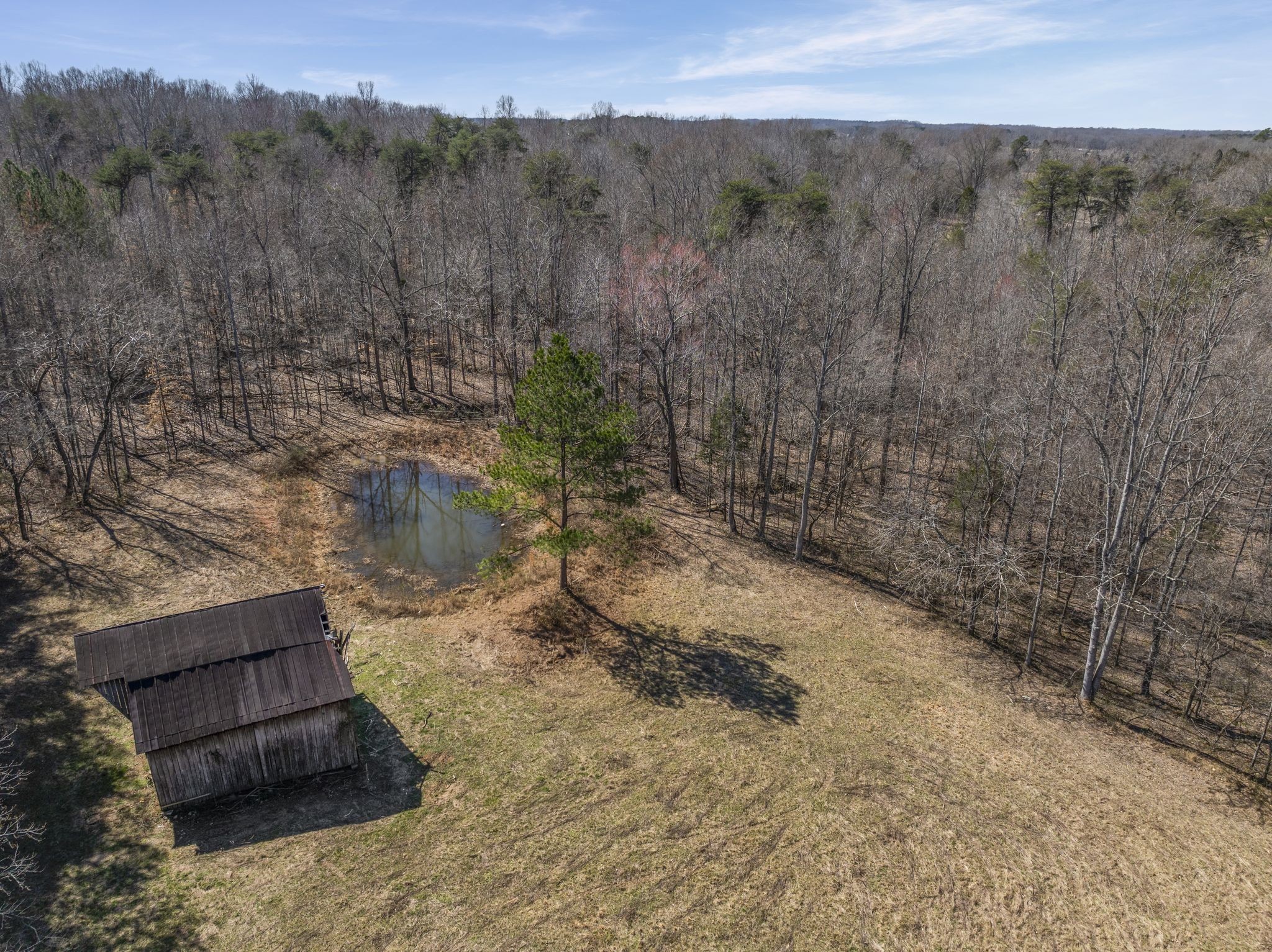 0 Spencer Mill Road Burns, TN 37029 - Photo 2 of 26 a view of a yard with trees in the background