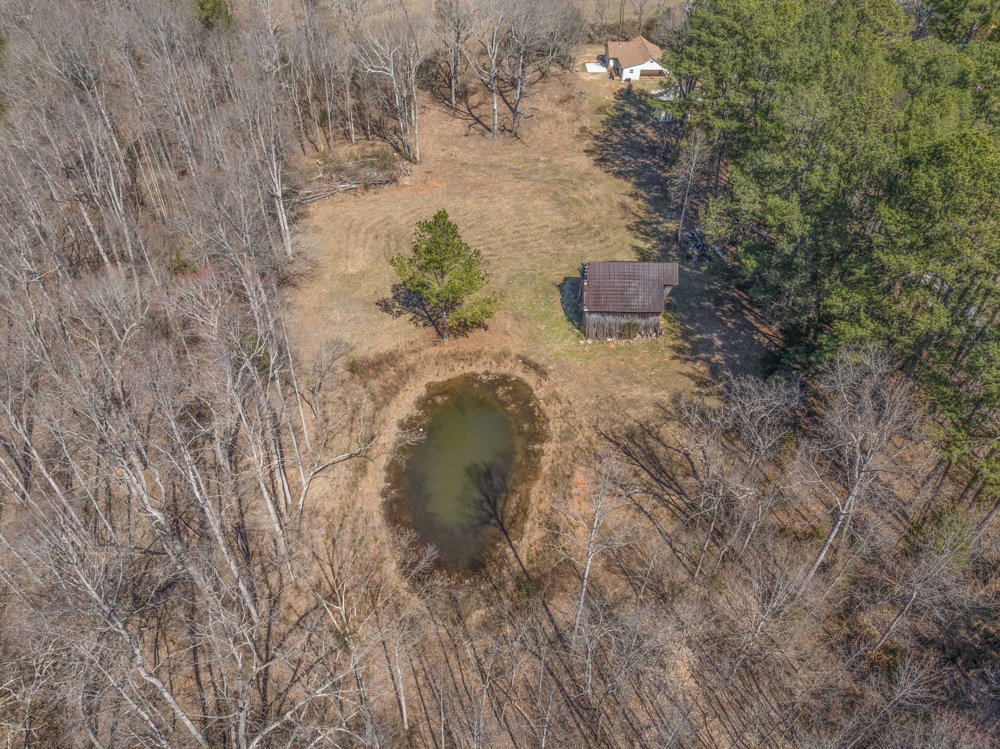 0 Spencer Mill Road Burns, TN 37029 - Photo 21 of 26 a close up of a tree in a yard