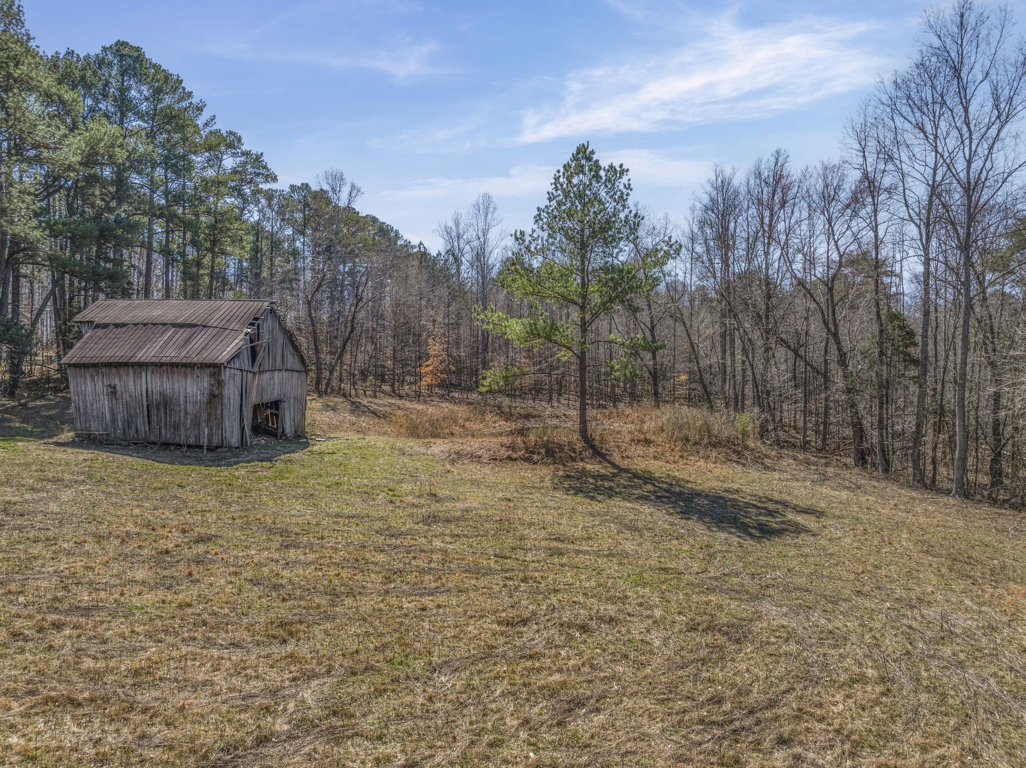 0 Spencer Mill Road Burns, TN 37029 - Photo 23 of 26 a backyard of a house with lots of green space