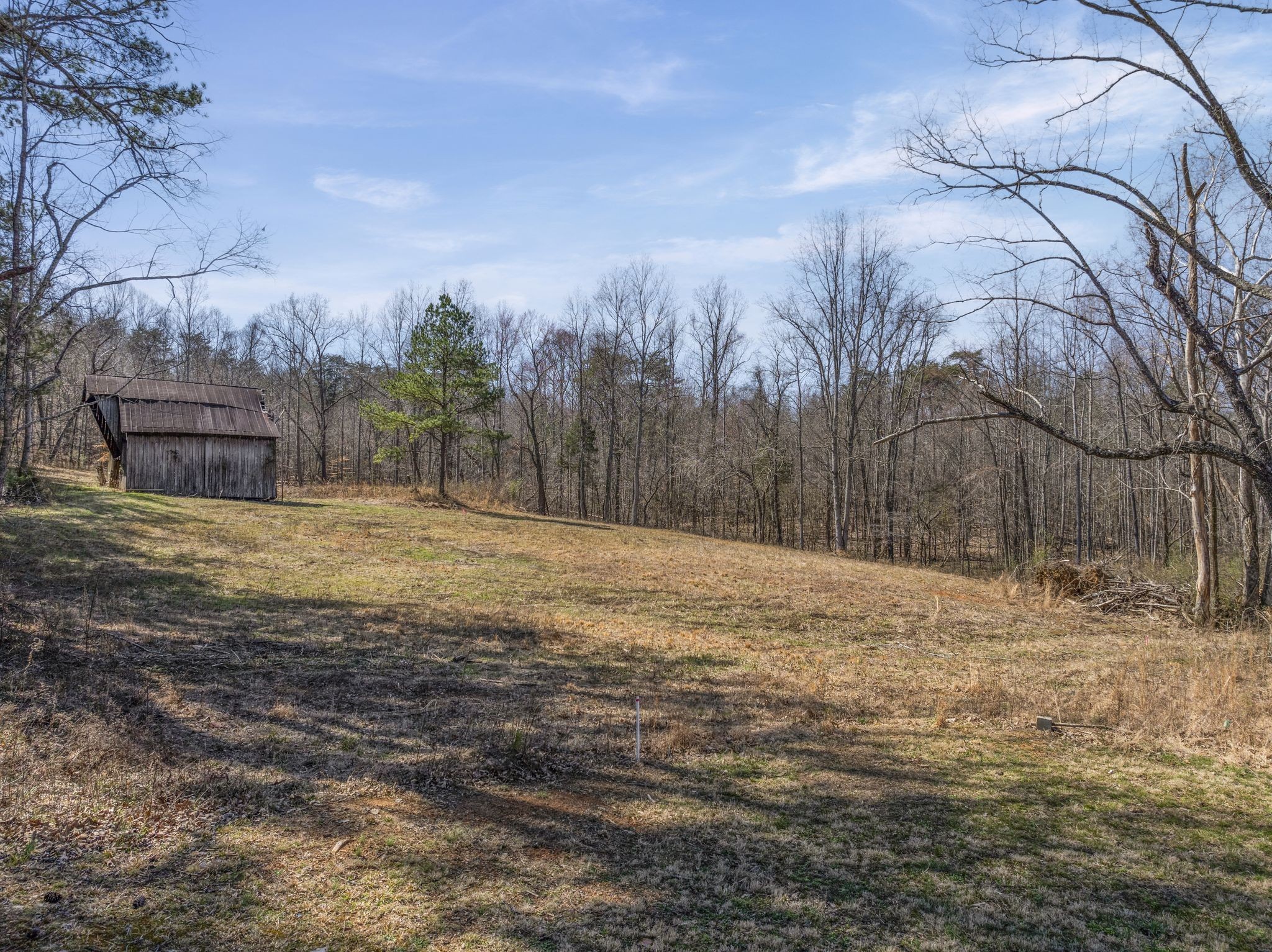 0 Spencer Mill Road Burns, TN 37029 - Photo 25 of 26 a view of large yard with large trees