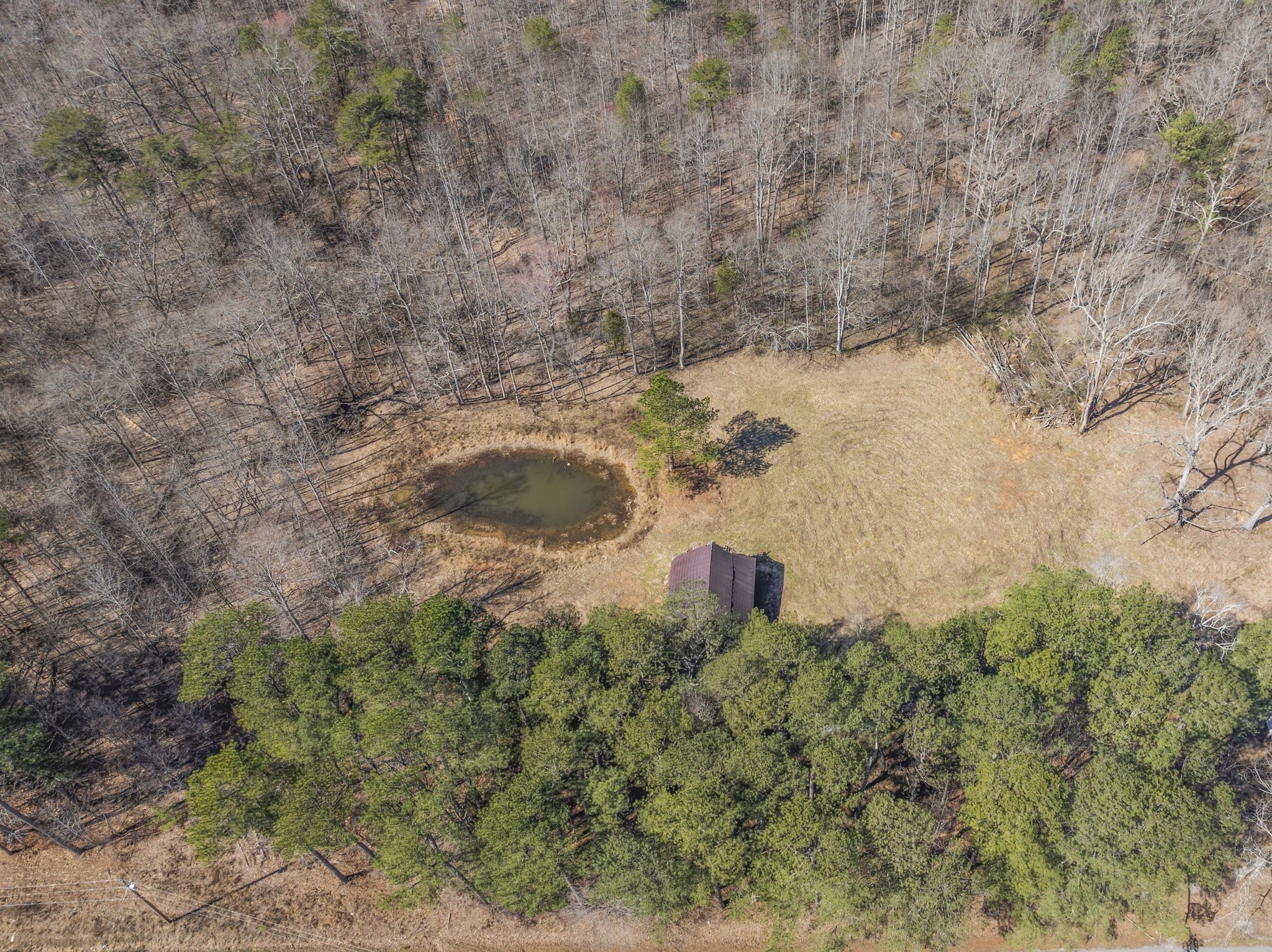 0 Spencer Mill Road Burns, TN 37029 - Photo 7 of 26 a view of a yard