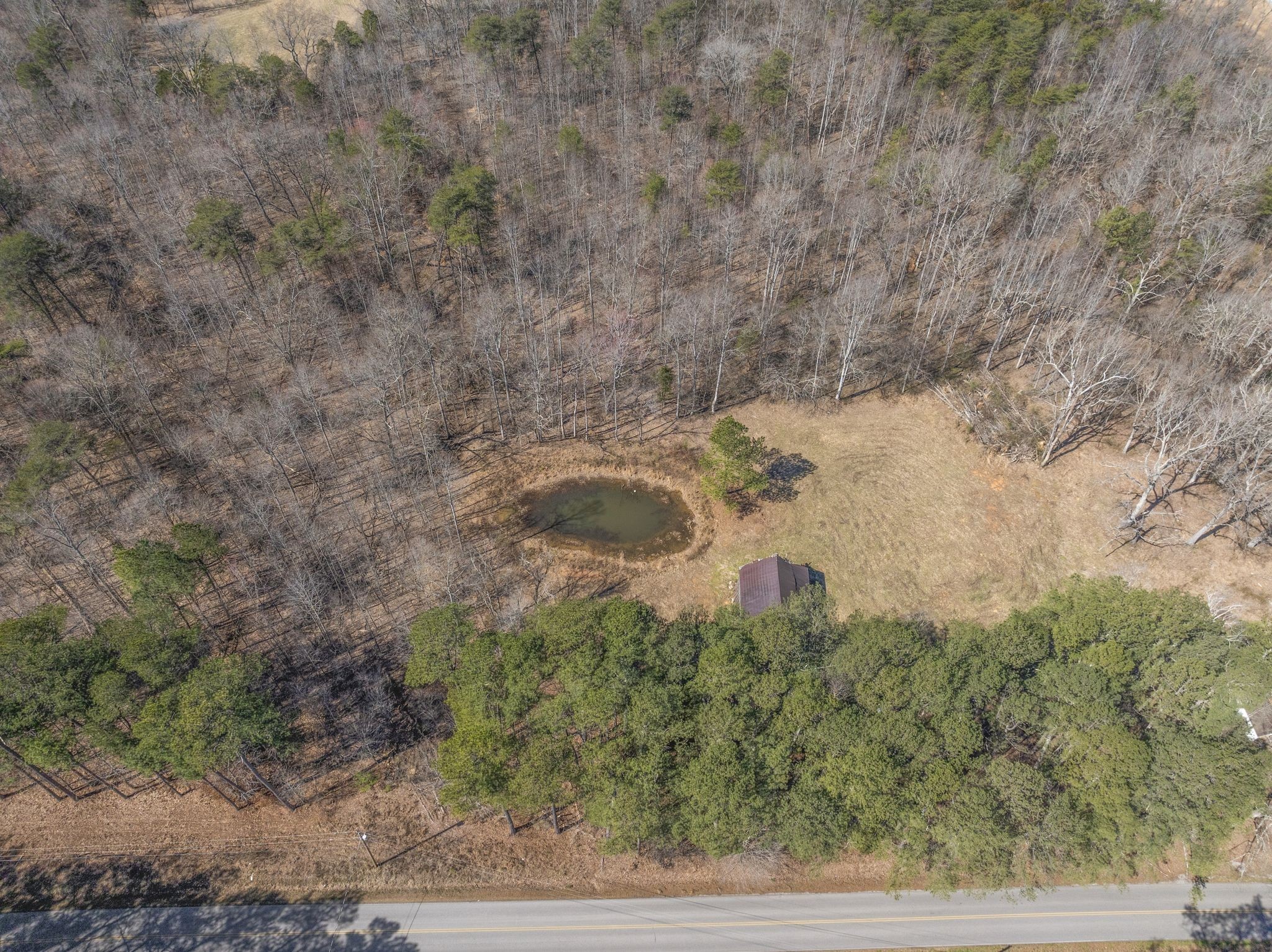 0 Spencer Mill Road Burns, TN 37029 - Photo 8 of 26 a view of a yard in a field