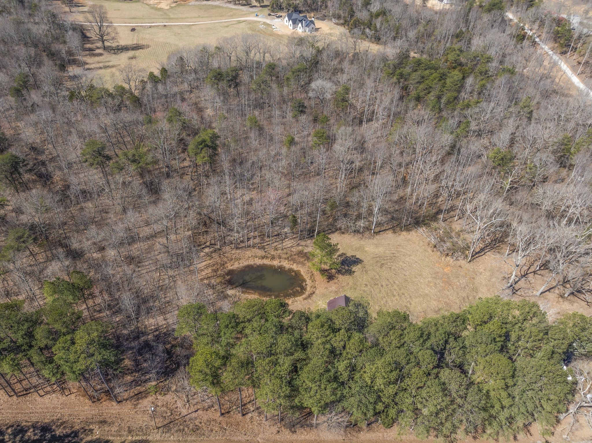 0 Spencer Mill Road Burns, TN 37029 - Photo 9 of 26 a view of a forest with a tree