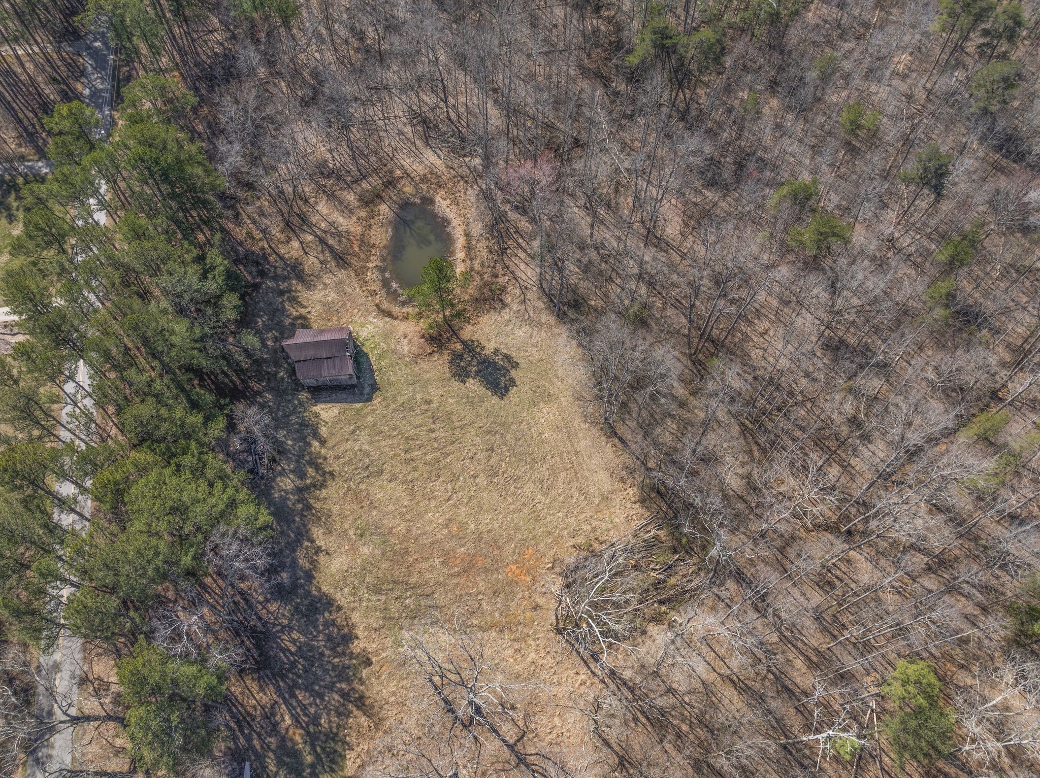 0 Spencer Mill Road Burns, TN 37029 - Photo 10 of 26 a view of a dry yard with trees