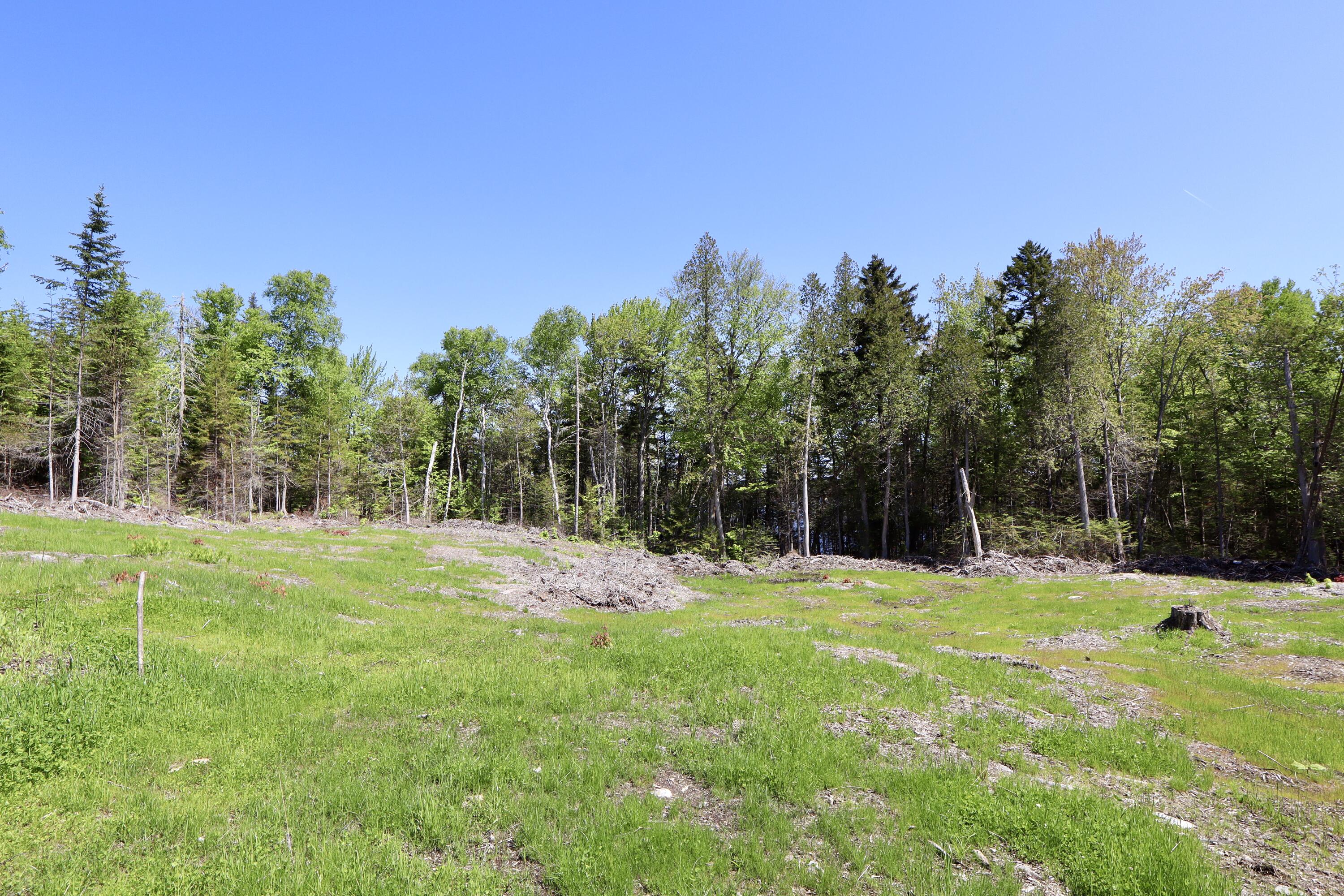 Lot S7 South Watson Is Road Rockwood, ME 04478 - Photo 2 of 9 F0D28579-6A32-4B68-A72C-985A7CDA6E74_1_2