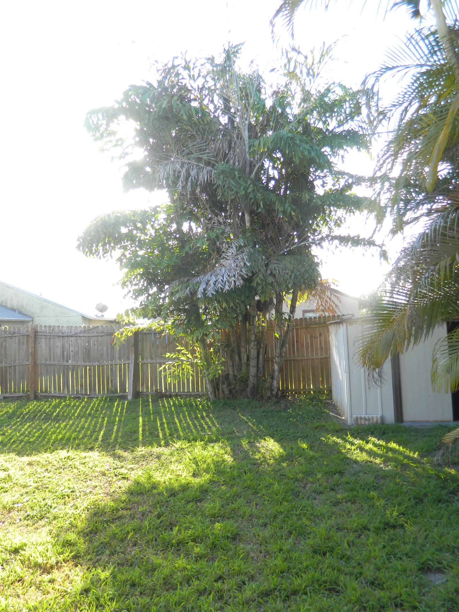 5854 Southeast Mitzi Lane Stuart, FL 34997 - Photo 17 of 18 Backyard