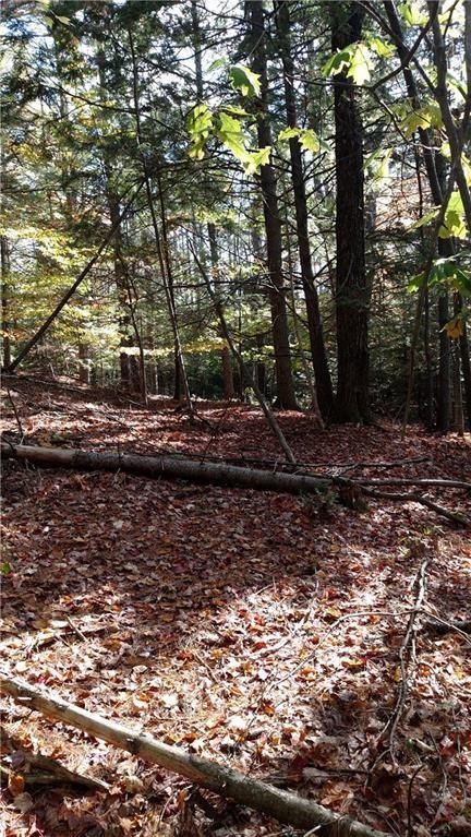 0 Atkinson Road Buxton, ME 04093 - Photo 1 of 2 Photo