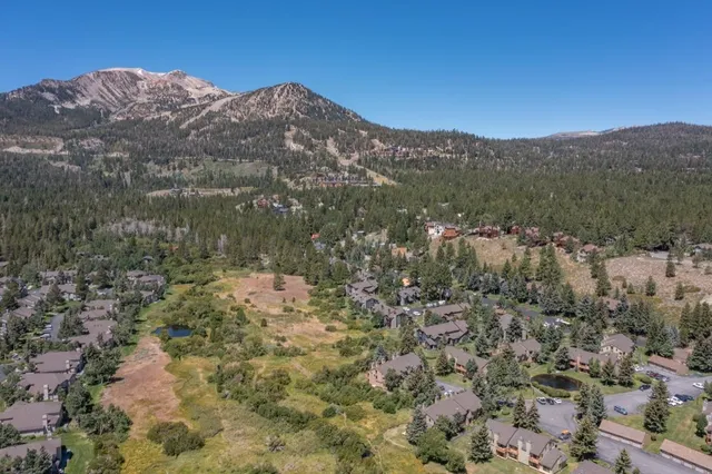 a view of a mountain in the distance in a field