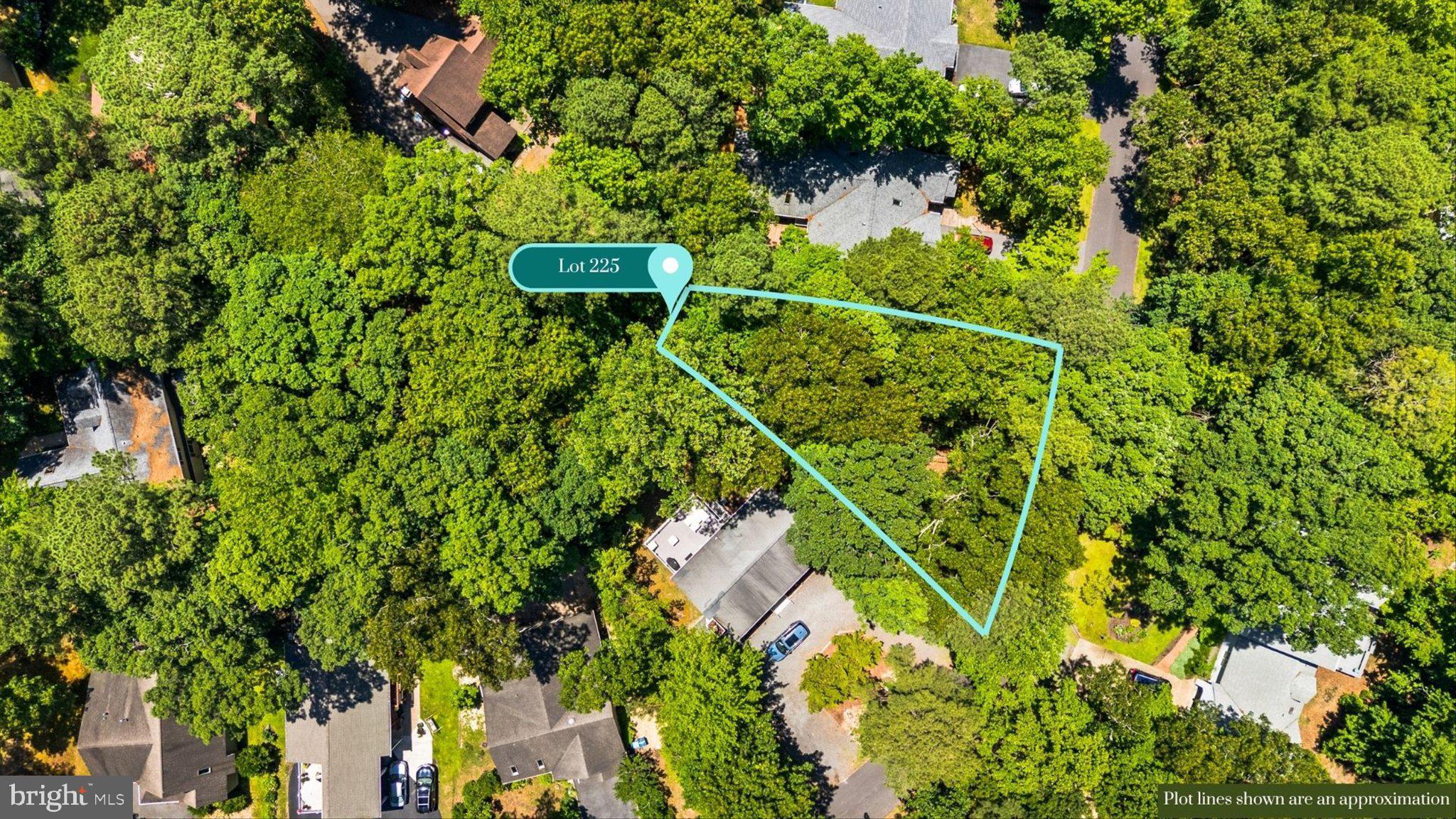12 Moonraker Road Ocean Pines, MD 21811 - Photo 12 of 17 Secluded lot amidst lush greenery.