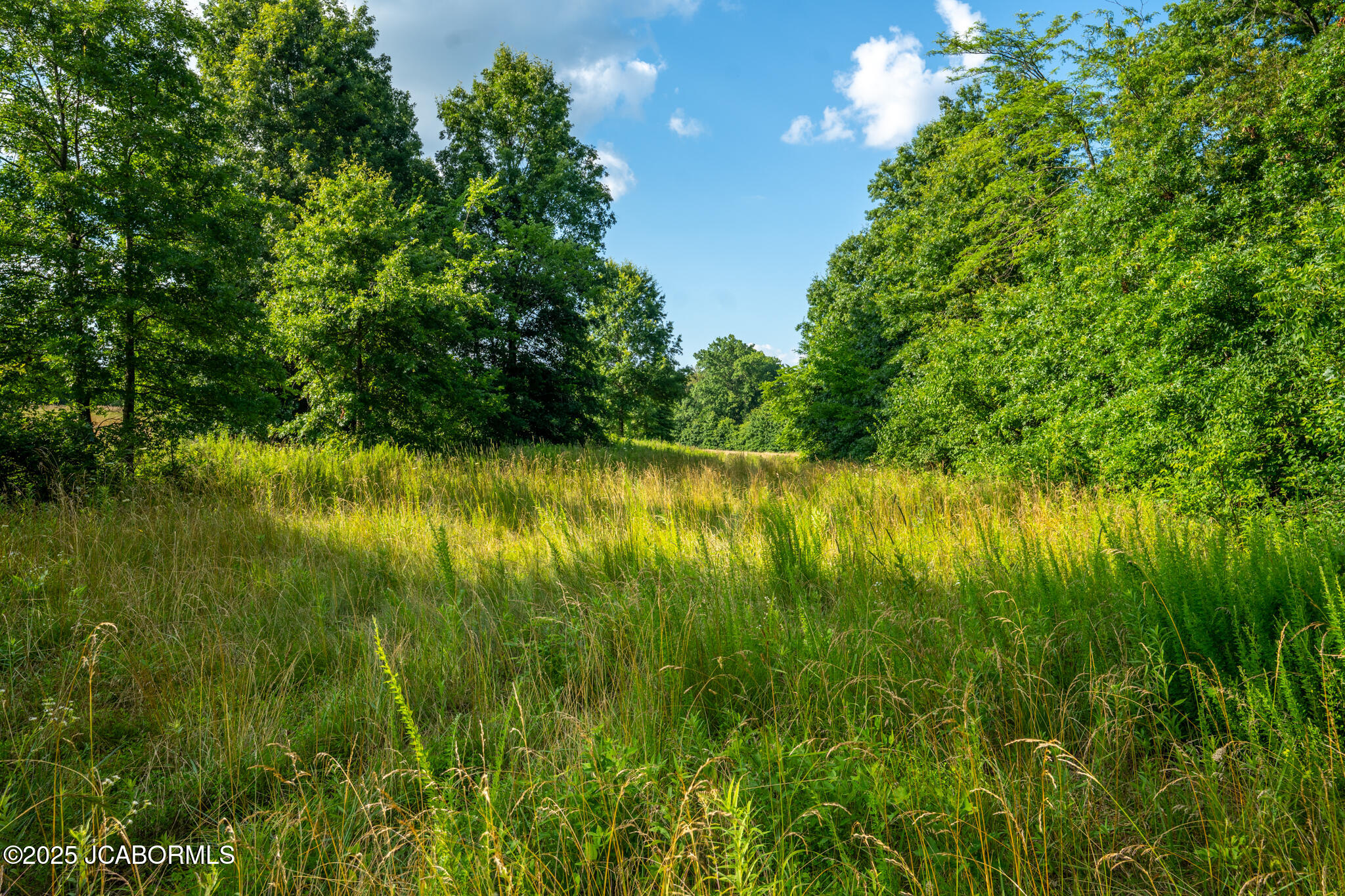0 Audrain County Road Mexico, MO 65265 - Photo 9 of 12