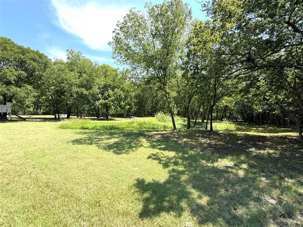 8384 West FM 545 Blue Ridge, TX 75424 - Photo 5 of 30 a view of a tree in a yard