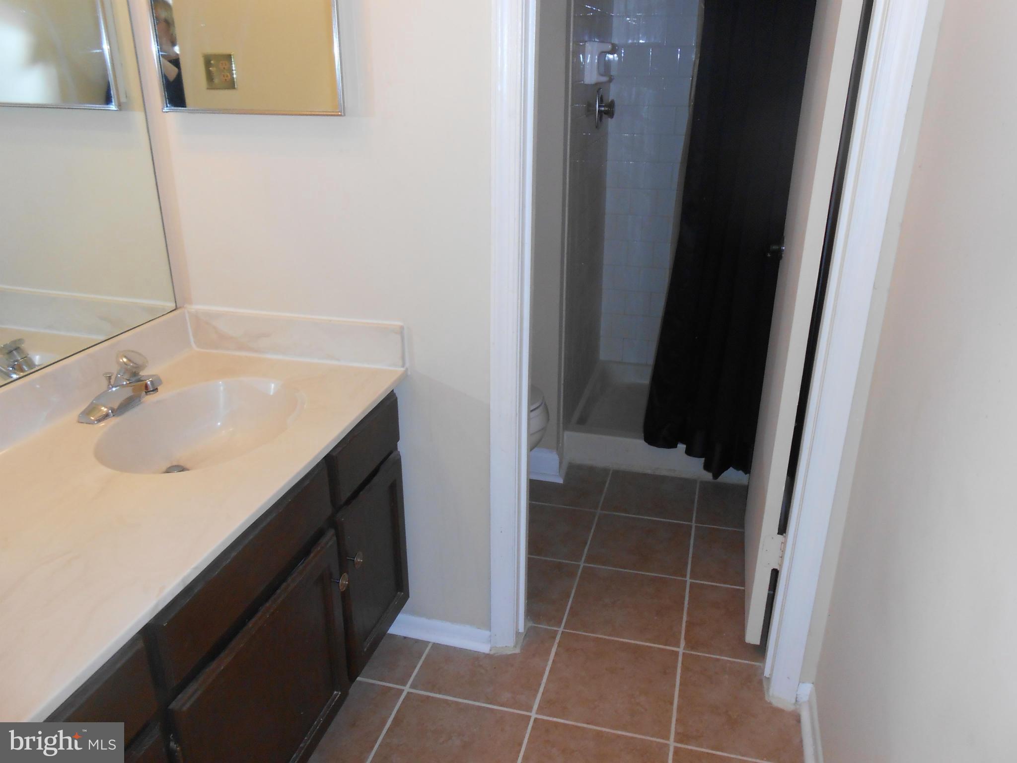 8454 Snowden Oaks Place Laurel, MD 20708 - Photo 11 of 17 Bath (Master)
