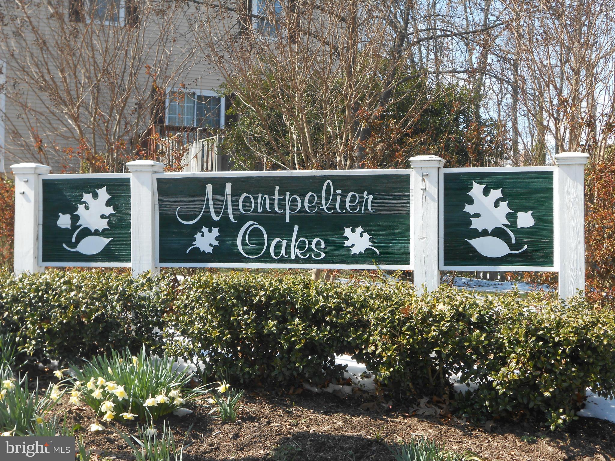 8454 Snowden Oaks Place Laurel, MD 20708 - Photo 3 of 17 Community