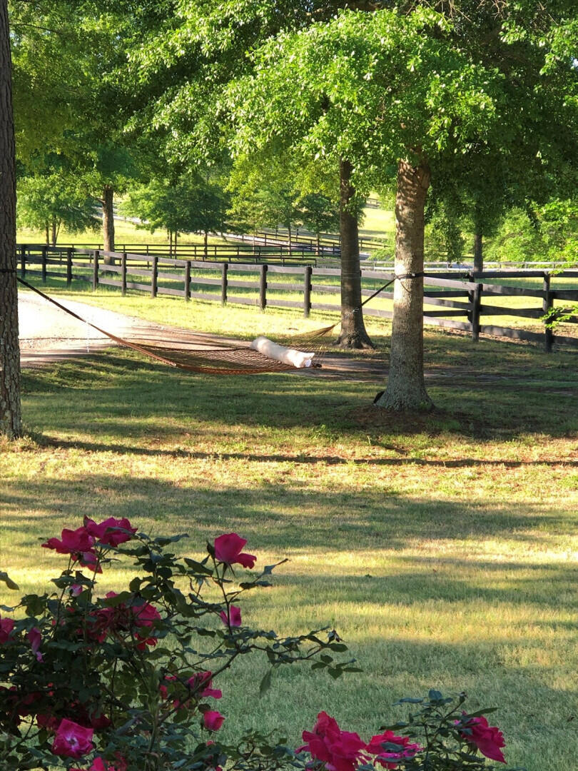 471 Cedar Ridge Drive Aiken, SC 29803 - Photo 14 of 64