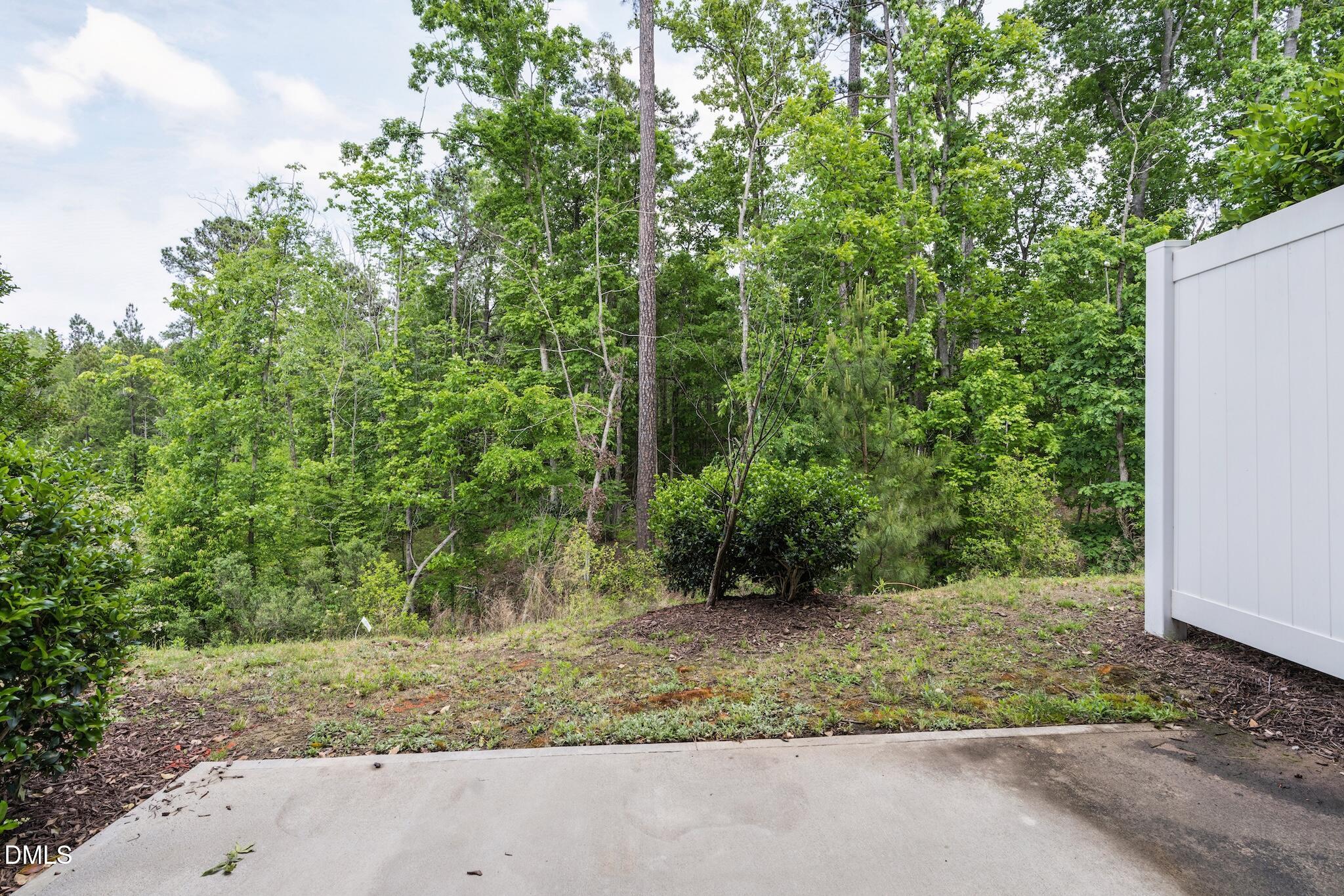1132 Alston Ridge Cary, NC 27519 - Photo 30 of 34 DSC01321