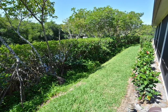 a view of a garden with plants and large trees