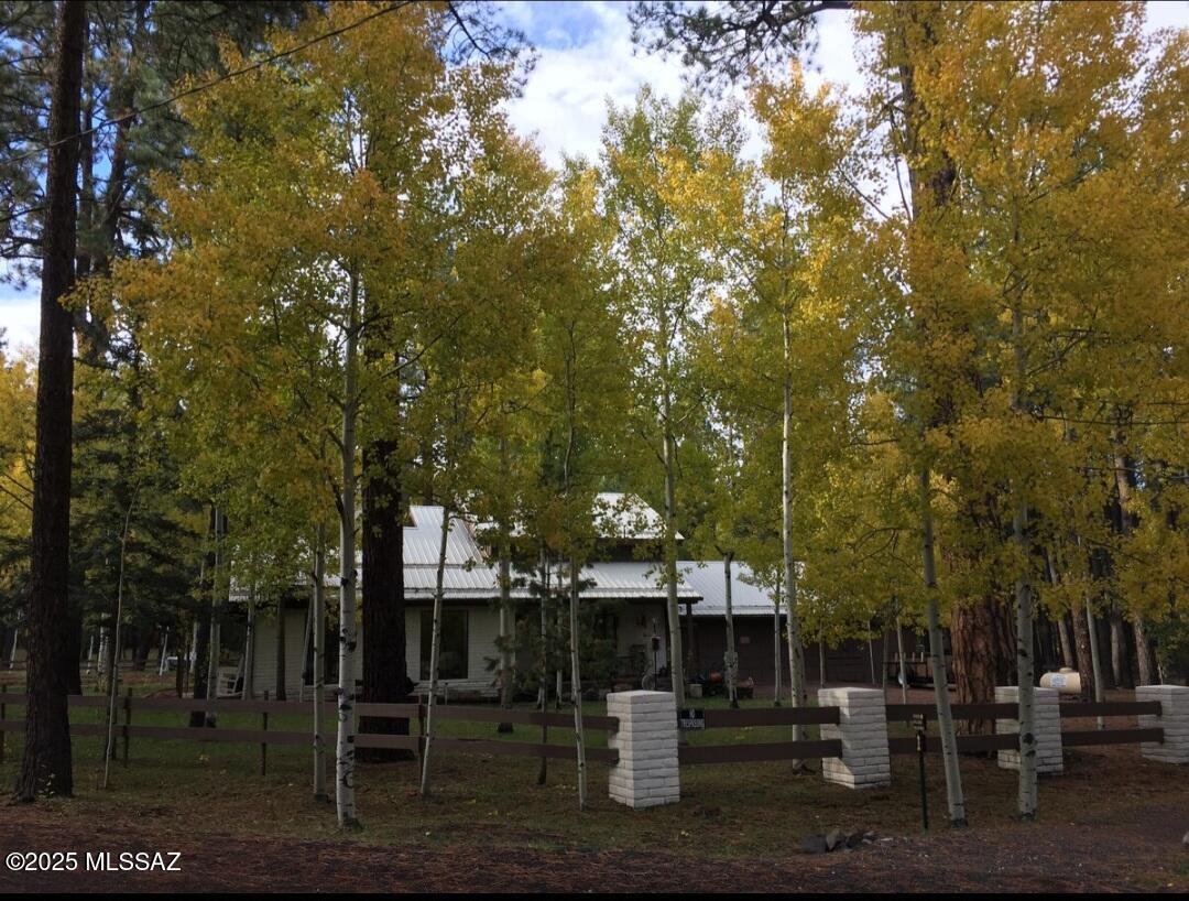 31 County Road Greer, AZ 85927 - Photo 22 of 28