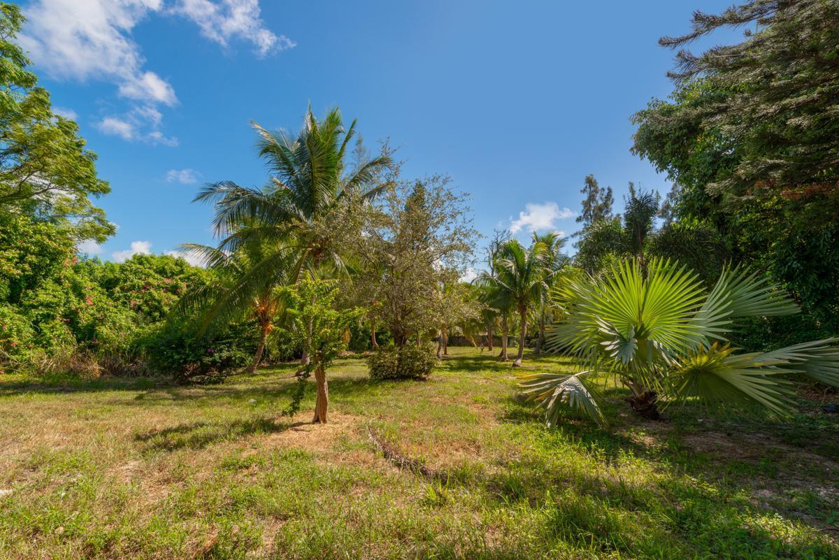 6640 High Ridge Road Lake Worth, FL 33462 - Photo 15 of 46 Very back of property
