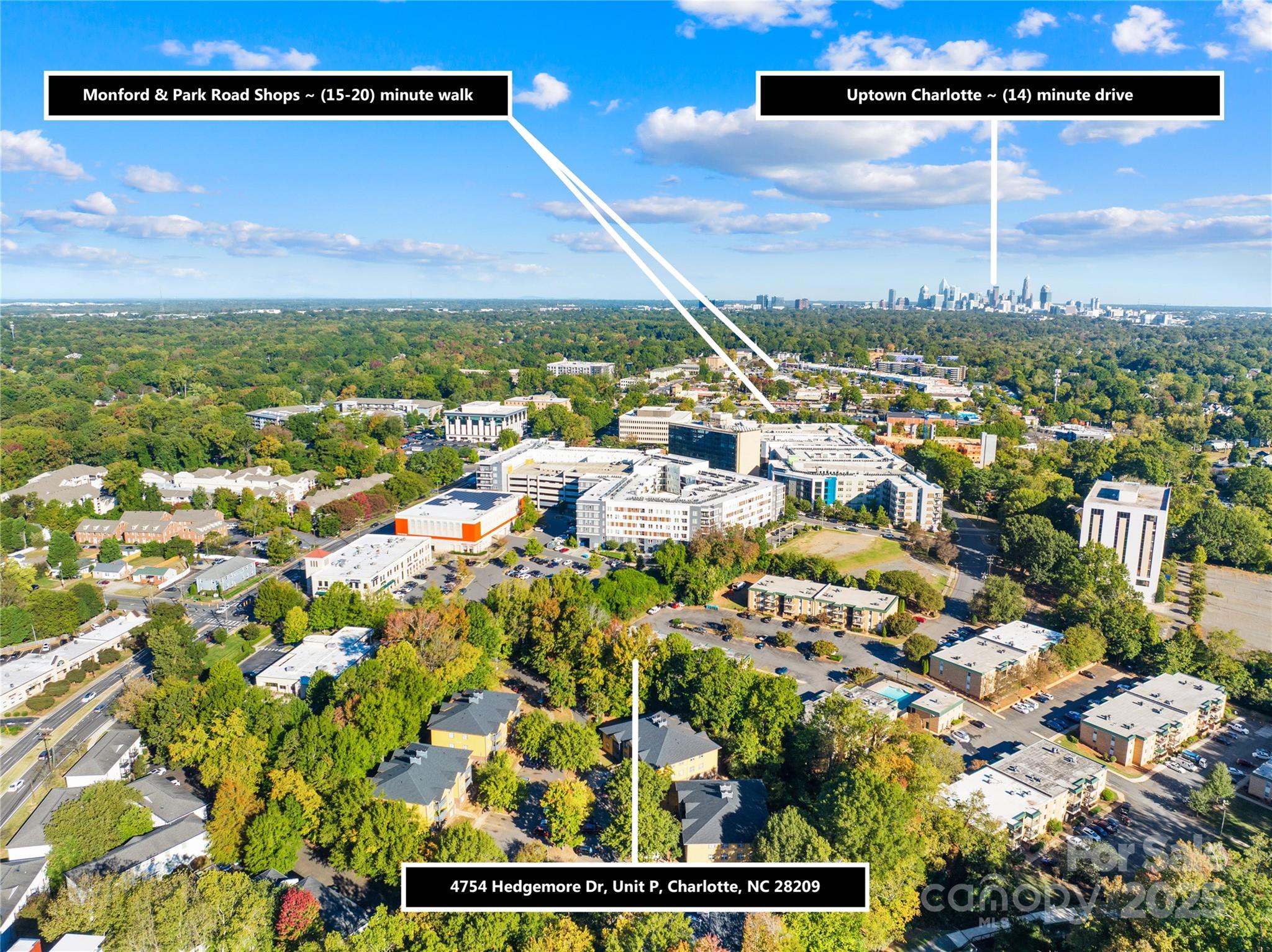 4754 Hedgemore Drive, Unit P Charlotte, NC 28209 - Photo 17 of 19 a view of a city