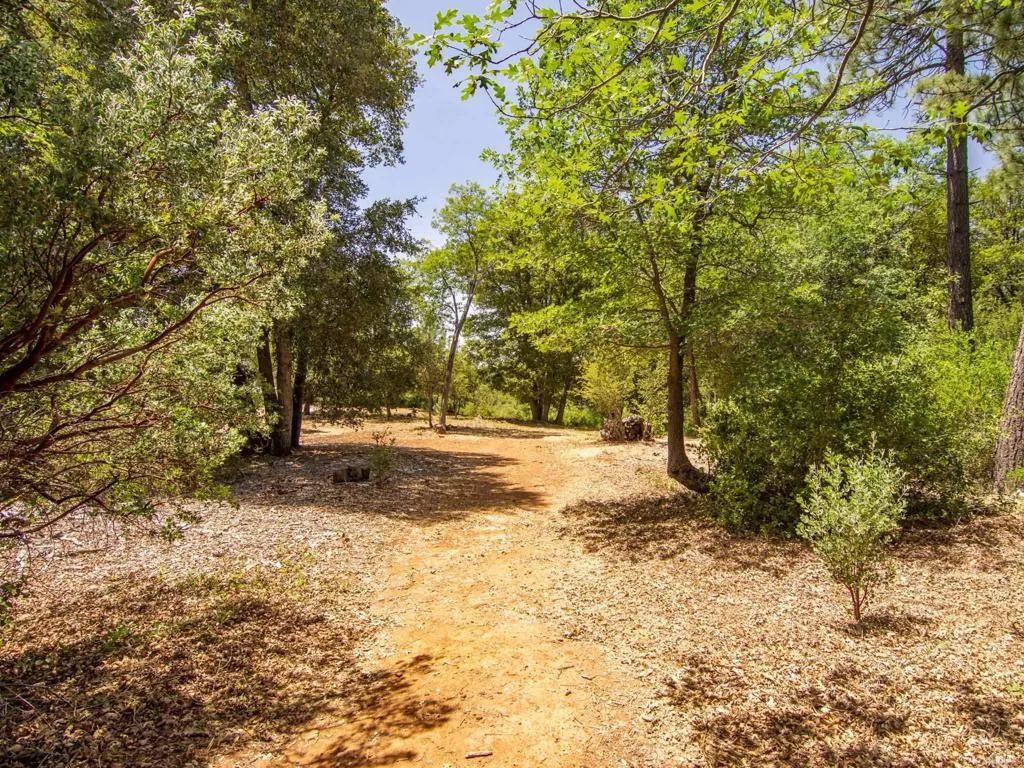 7 West Incense Cedar Road Julian, CA 92036 - Photo 11 of 24