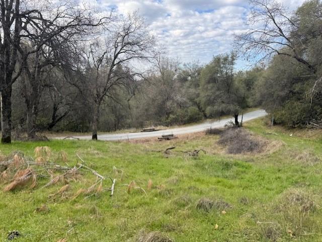 2731 Ranch Road Placerville, CA 95667 - Photo 5 of 11 a view of outdoor space with trees