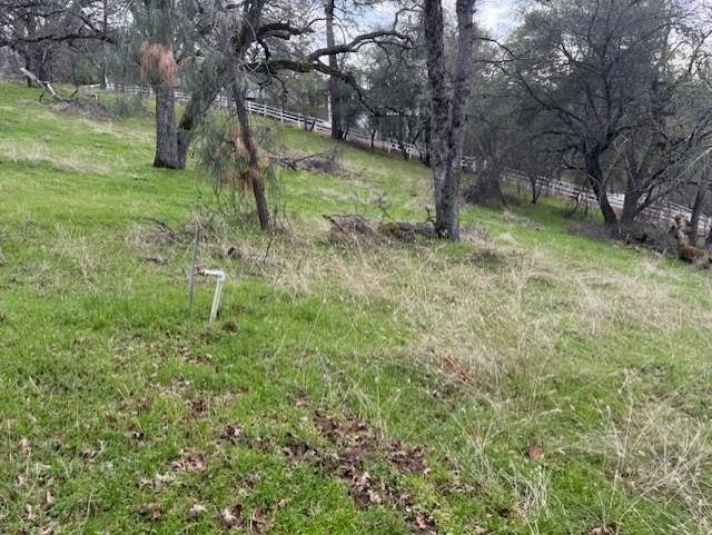 2731 Ranch Road Placerville, CA 95667 - Photo 6 of 11 a view of outdoor space with trees all around