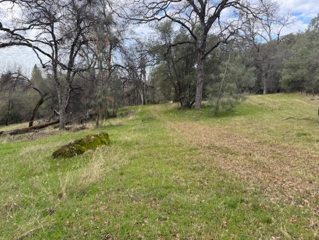 2731 Ranch Road Placerville, CA 95667 - Photo 8 of 11 a view of backyard with green space