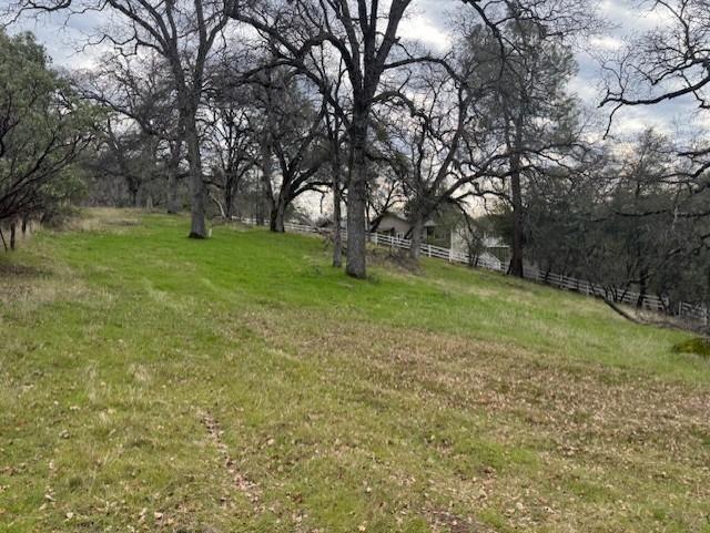 2731 Ranch Road Placerville, CA 95667 - Photo 10 of 11 a view of yard with tree s