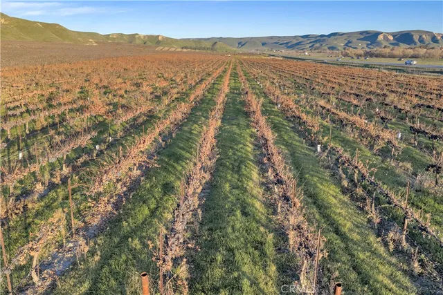 $8,250,000 | 1990 East 46th, Shandon, CA 93461