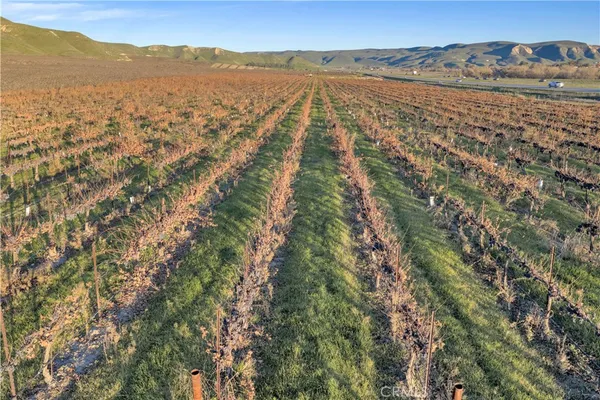 $6,900,000 | 1990 East 46th, Shandon, CA 93461