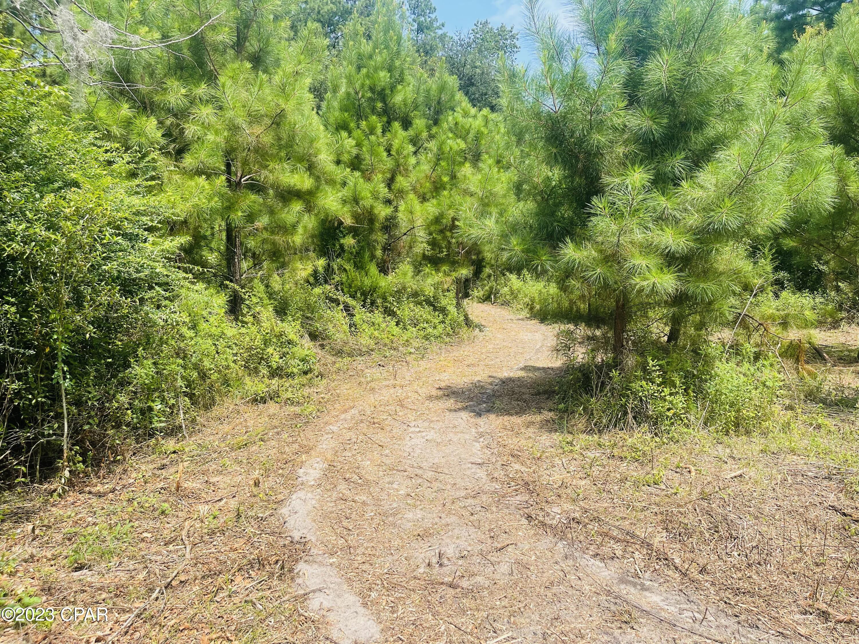 3016 Culpepper Lane Vernon, FL 32462 - Photo 11 of 30