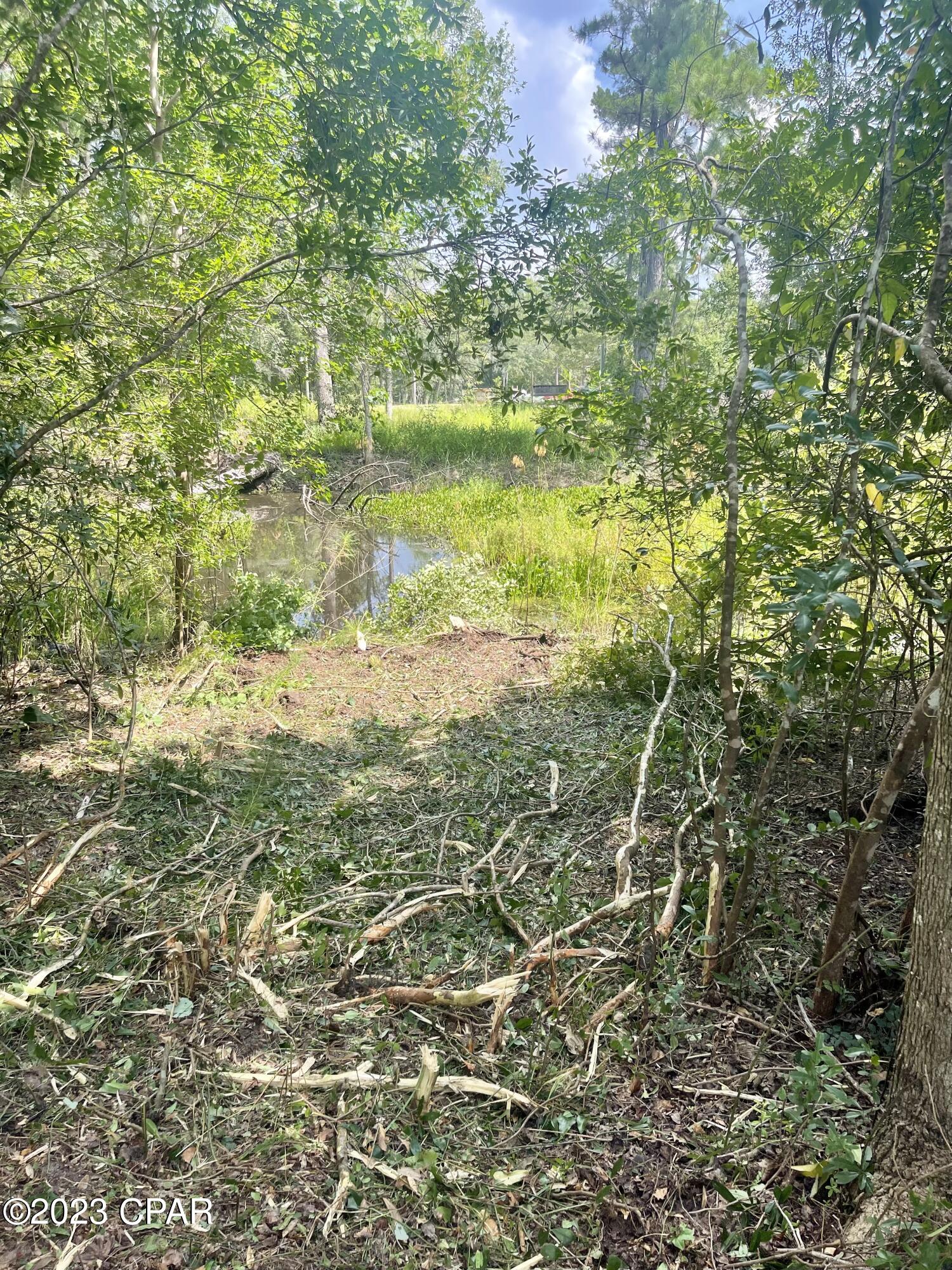 3016 Culpepper Lane Vernon, FL 32462 - Photo 12 of 30