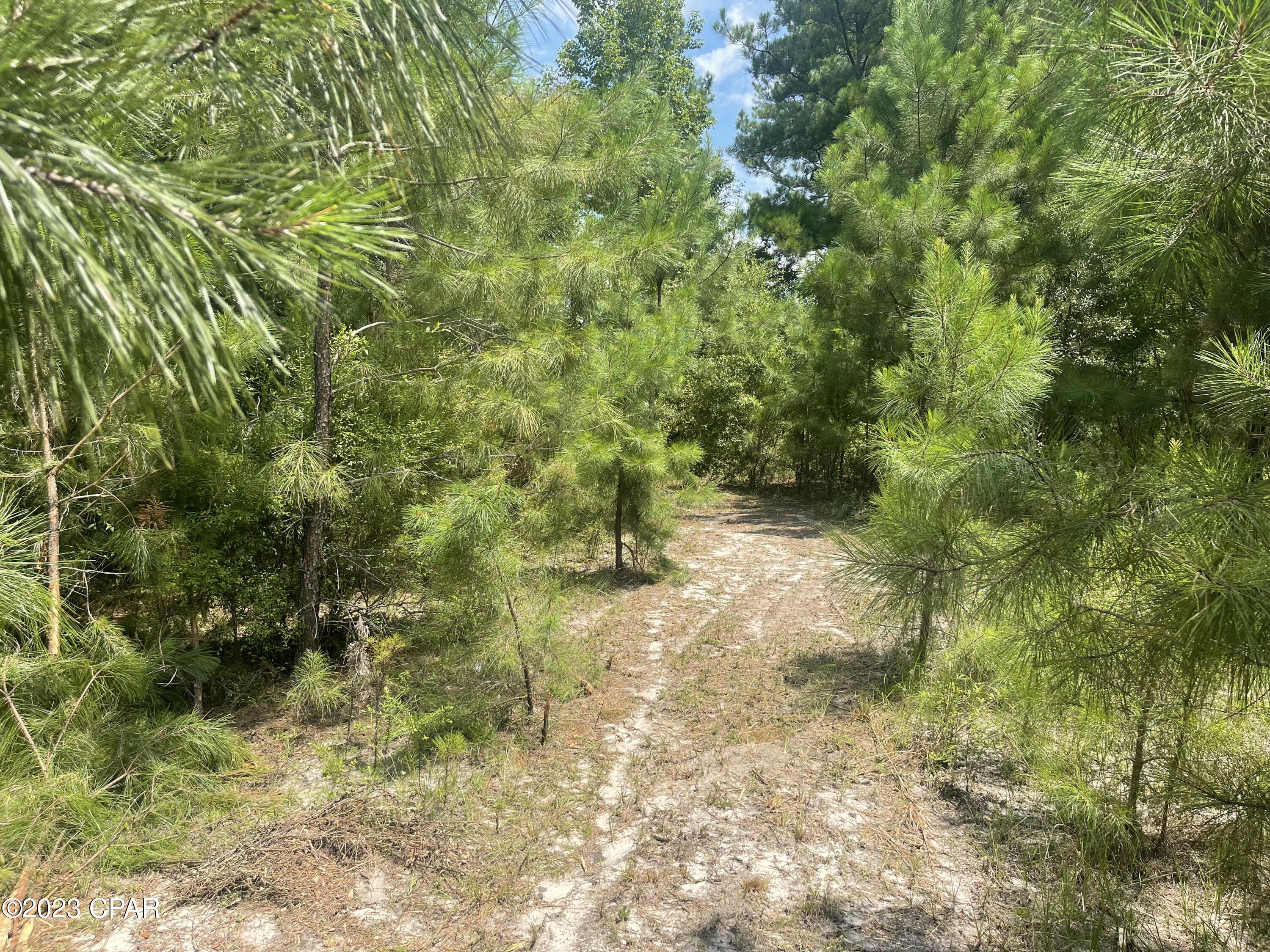 3016 Culpepper Lane Vernon, FL 32462 - Photo 3 of 30