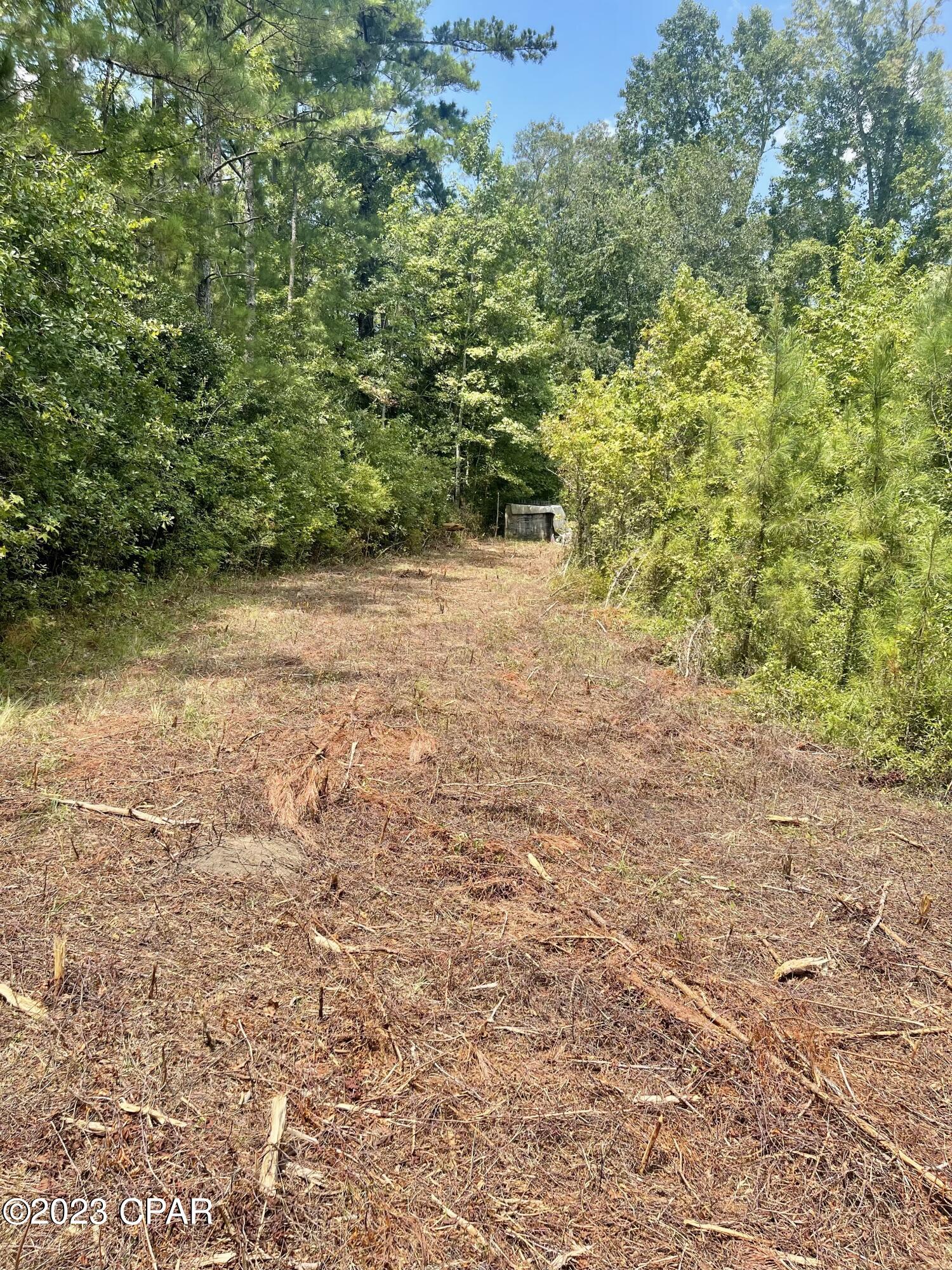 3016 Culpepper Lane Vernon, FL 32462 - Photo 4 of 30