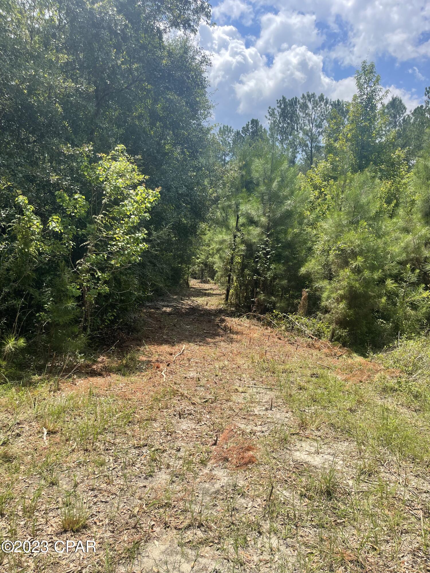 3016 Culpepper Lane Vernon, FL 32462 - Photo 5 of 30