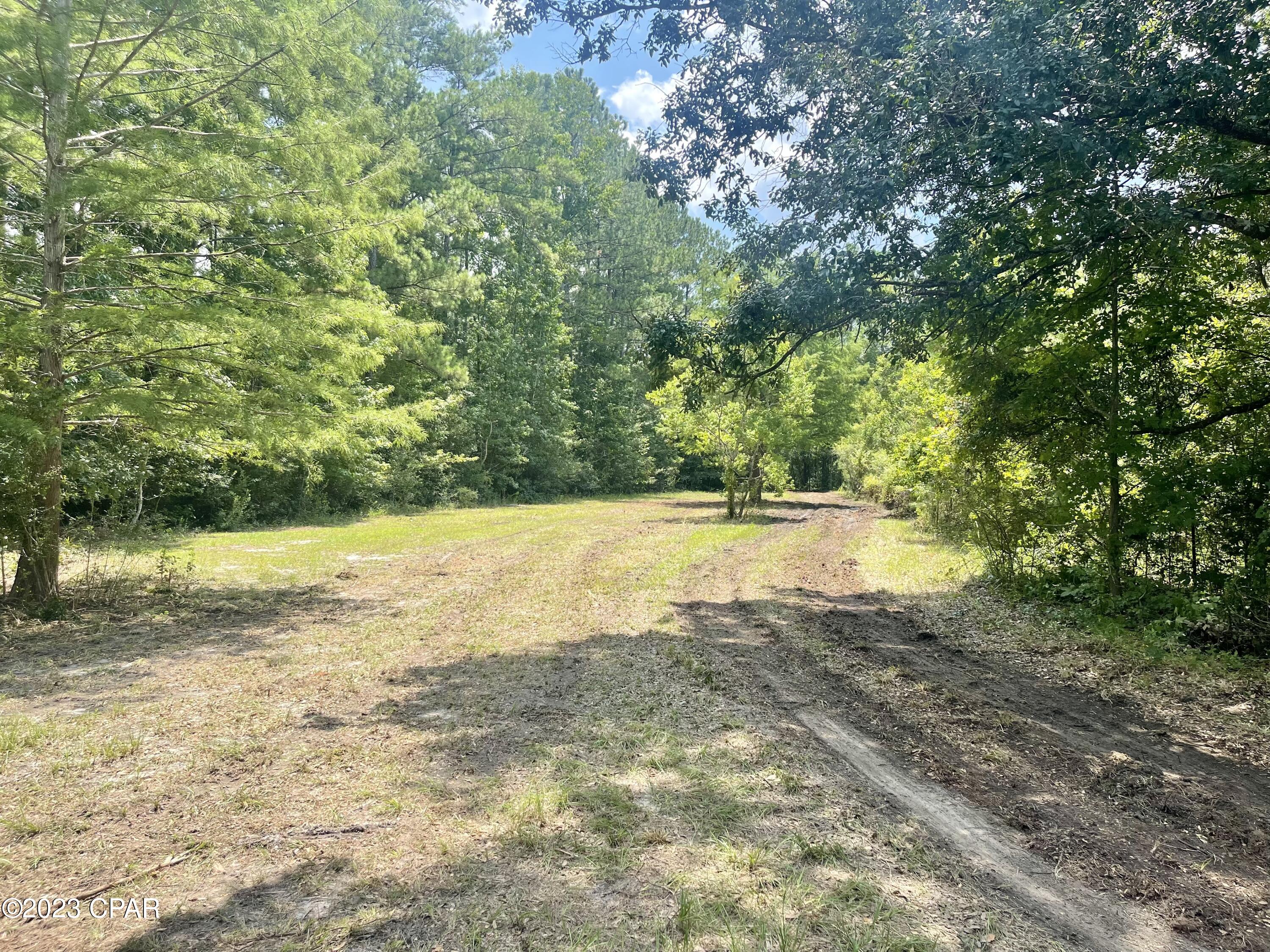 3016 Culpepper Lane Vernon, FL 32462 - Photo 6 of 30