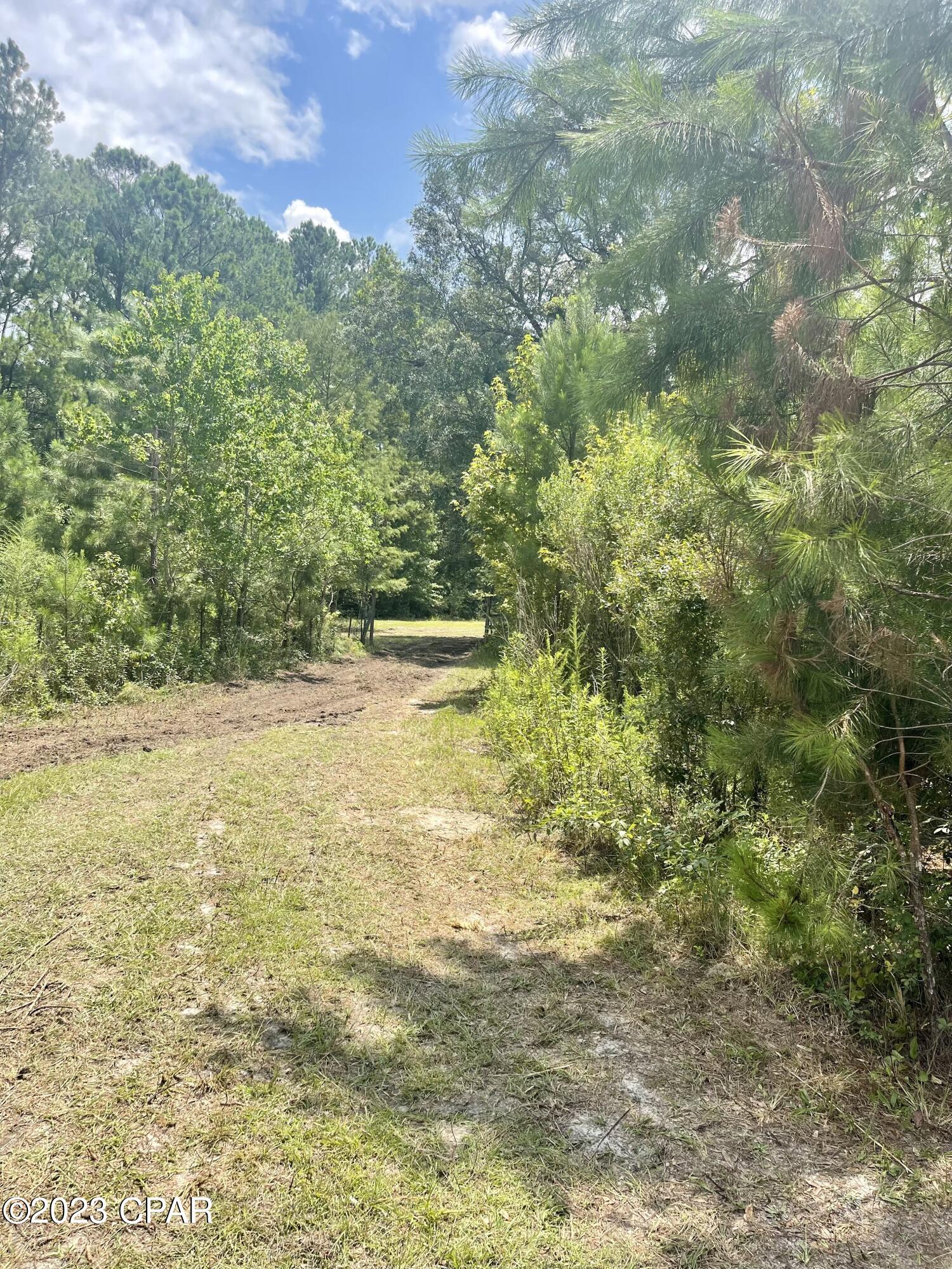 3016 Culpepper Lane Vernon, FL 32462 - Photo 7 of 30