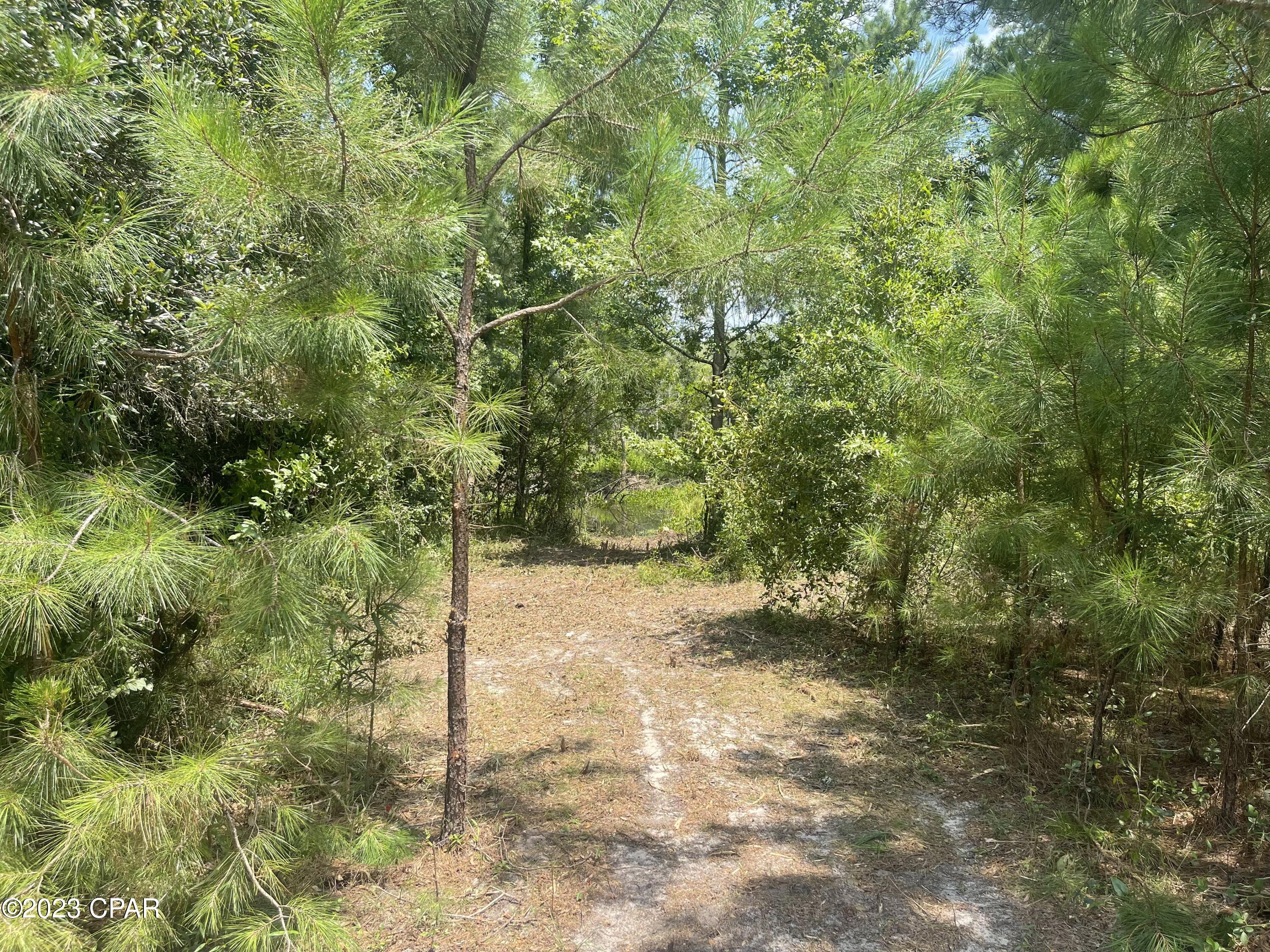 3016 Culpepper Lane Vernon, FL 32462 - Photo 8 of 30